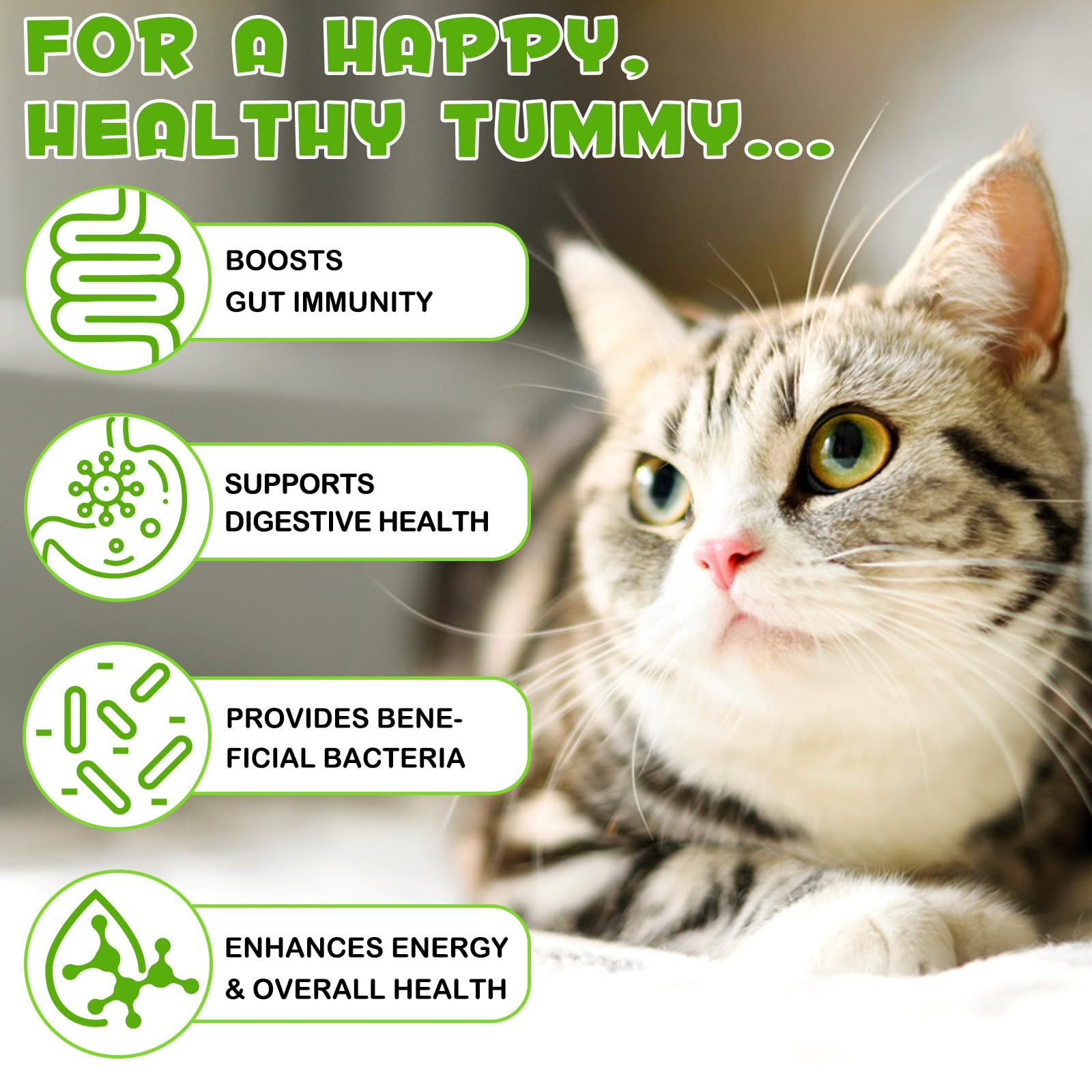 Liquid Cat Probiotic, Natural 3 in 1 Probiotic for Cats, Cat Digestive Support,Gut Health Support,Help with Diarrhea,Gas and Bloating, Cat Herbal Supplements- 60ml - OzHealthStandard