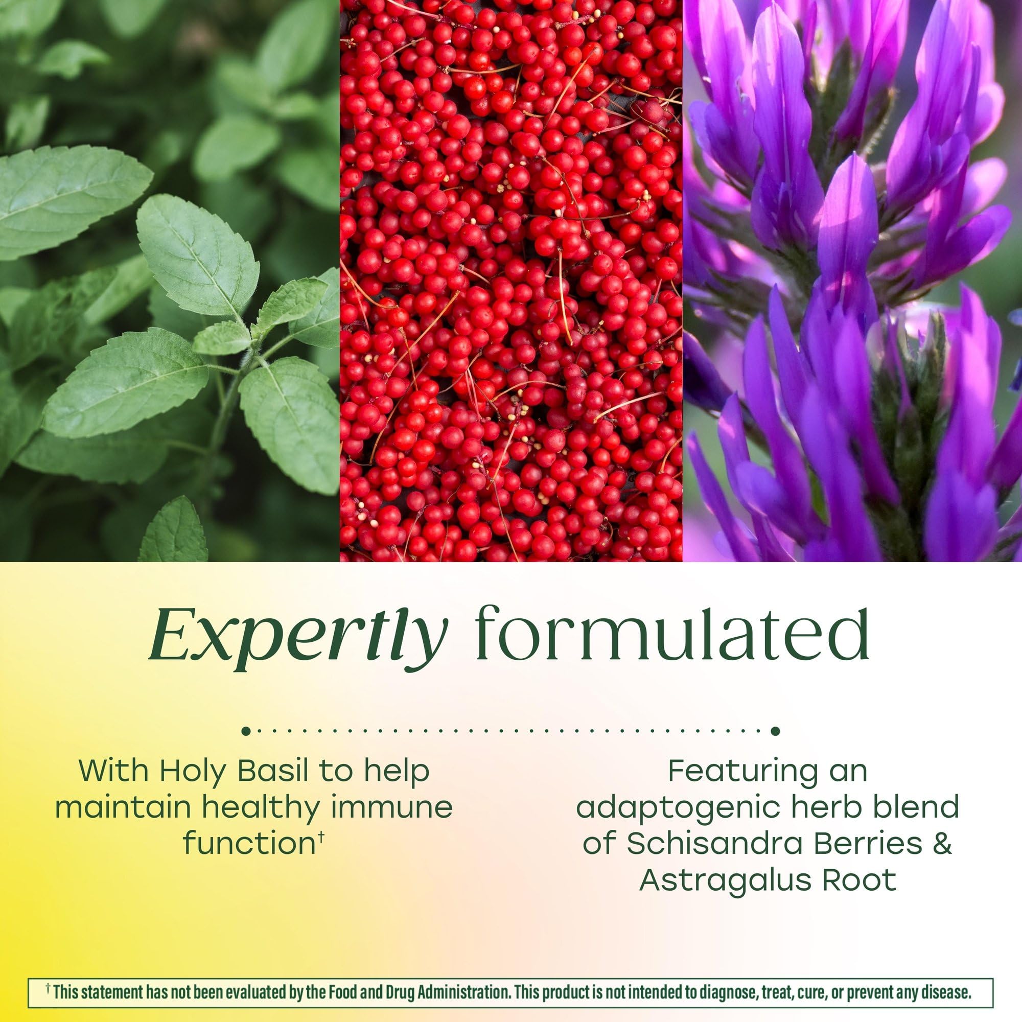 MegaFood Ashwagandha Complex (Formerly Stress Protect) - Ashwagandha Supplements Astragalus Root & Holy Basil - Vegetarian, Gluten Free, Cortisol Supplement - 60 Mini Tablets, 30 Servings - OzHealthStandard