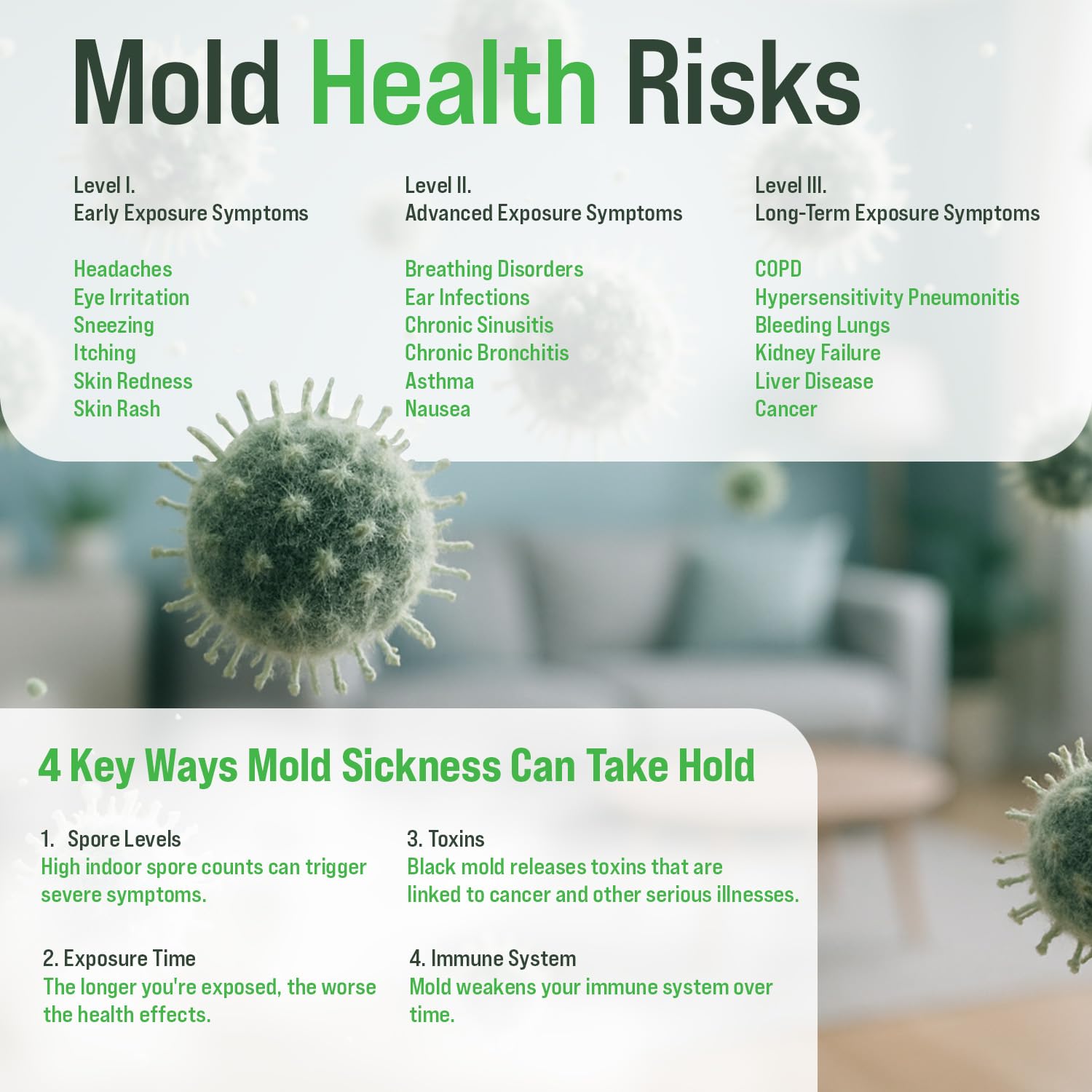 Microbial Mold Test Kit for Home - Indoor Air Quality and Surface Testing - Detects Black Mold, Mildew, and Fungi - Air and Surface Mold Detection Kit with Lab Analysis Included - OzHealthStandard