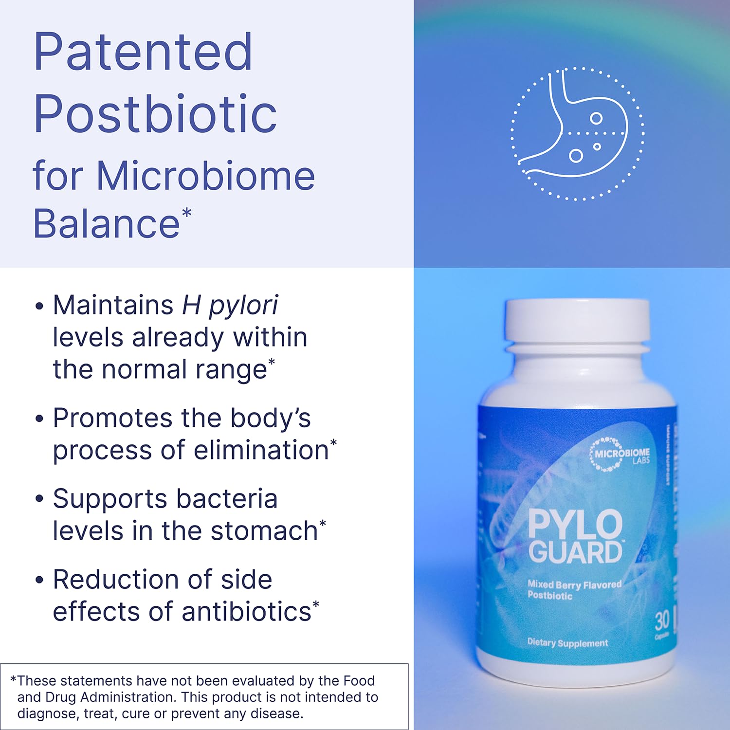 Microbiome Labs PyloGuard - Patented L reuteri DSM17648 to Improve Digestive Comfort - Gut Health & Immune Support Supplement - Postbiotic (30 Capsules) - OzHealthStandard
