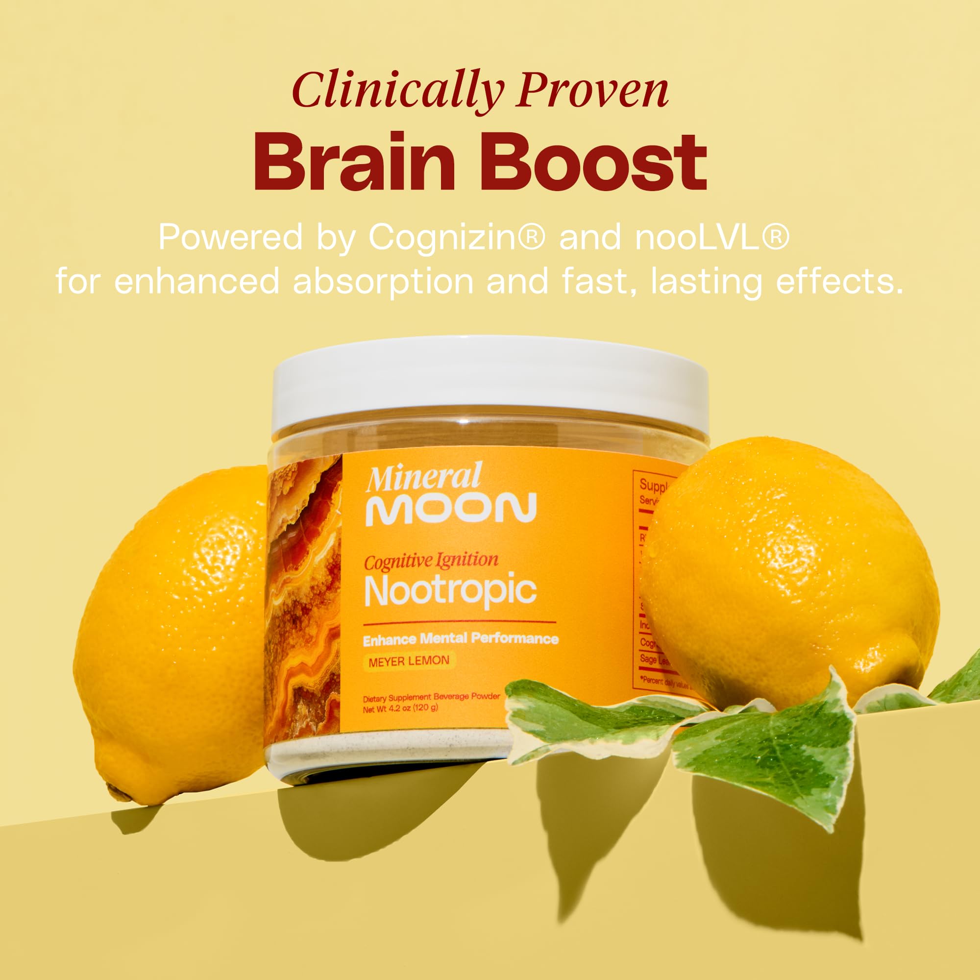 Mineral Moon Premium Cognitive Ignition Nootropic Powder - Brain Supplements For Memory & Focus - Sage Extract, B Vitamins,Cognizine Citicoline& nooLVL - Supports Mental Clarity - No Caffeine or Sugar - OzHealthStandard