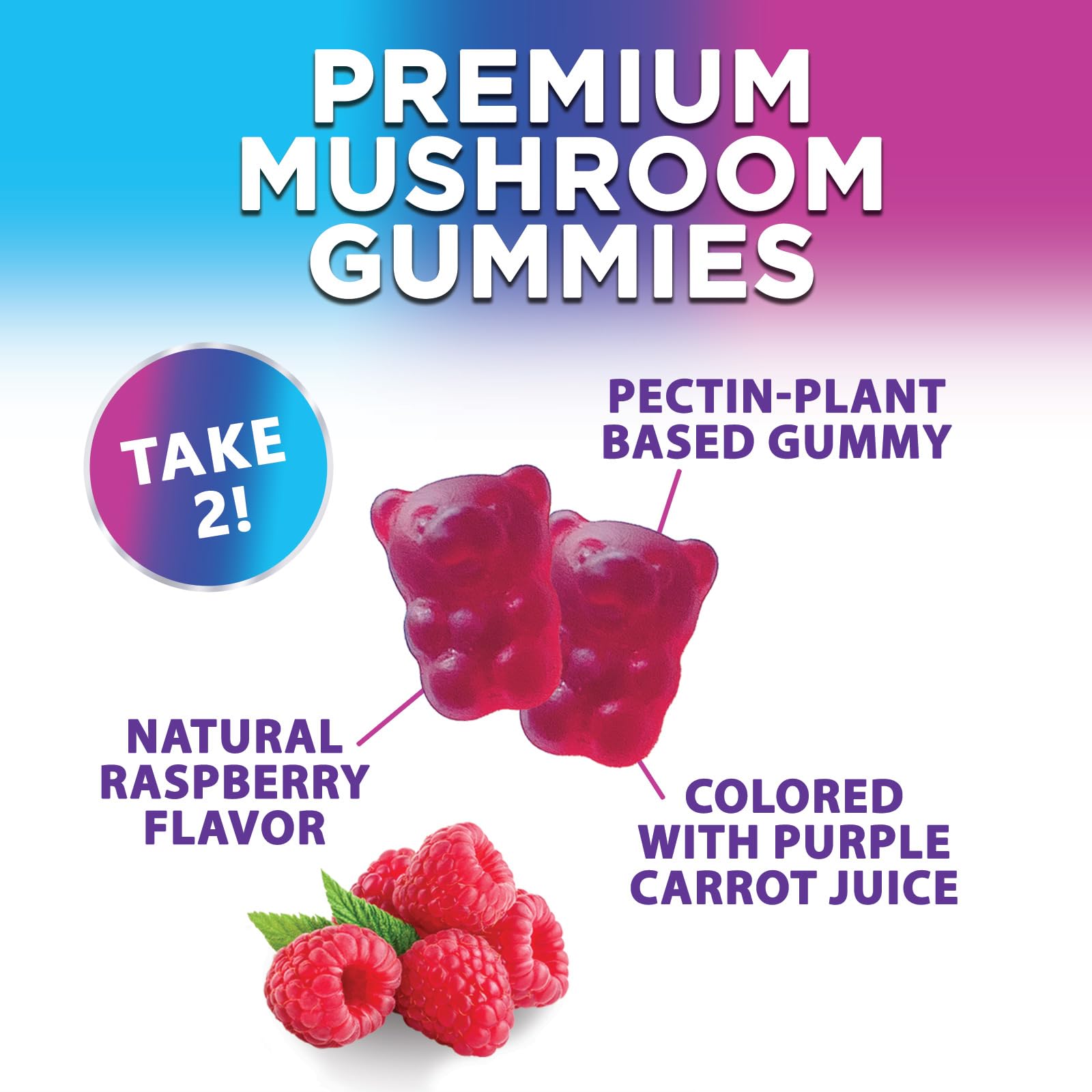 Mushroom Gummies Supplement 12 in 1 - High Grade Blend for Adults with Lions Mane, Reishi, Cordyceps, & Chaga Mushroom Complex Gummy, Memory & Immune Support & Nootropic Brain Supplements - 60 Gummies - OzHealthStandard