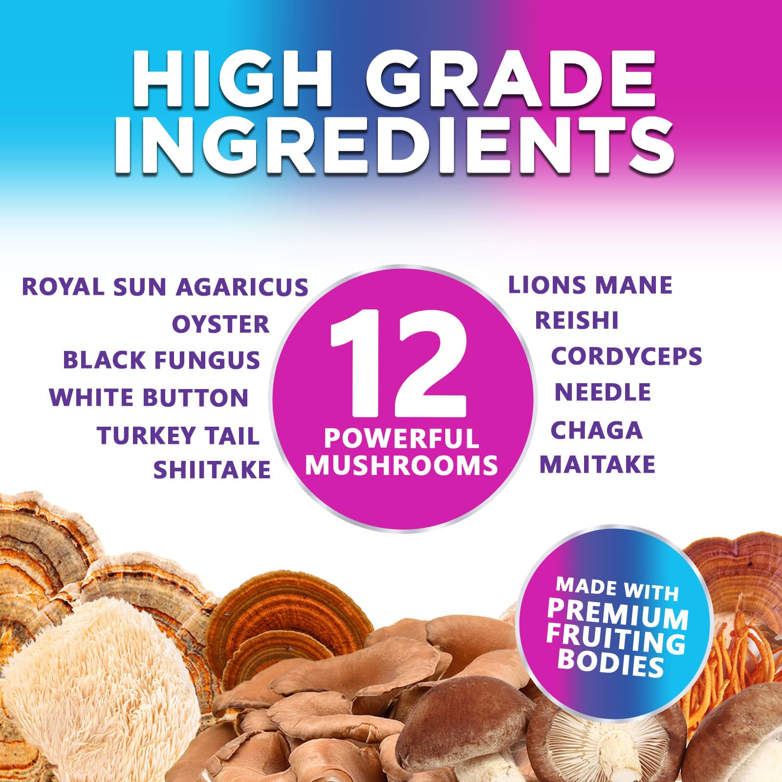 Mushroom Gummies Supplement 12 in 1 - High Grade Blend for Adults with Lions Mane, Reishi, Cordyceps, & Chaga Mushroom Complex Gummy, Memory & Immune Support & Nootropic Brain Supplements - 60 Gummies - OzHealthStandard