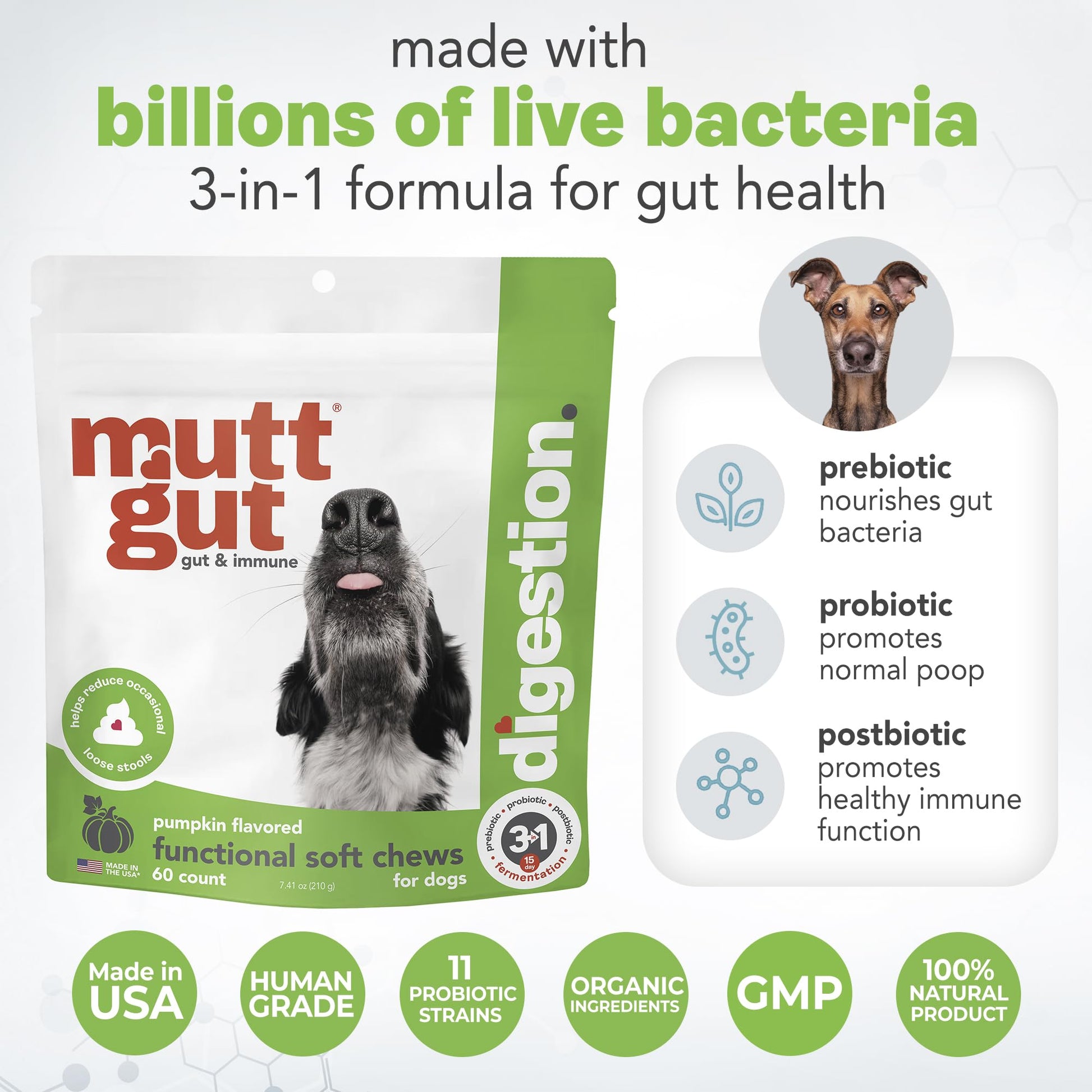 MuttGut® 3-in-1 Puppy & Dog Probiotics + Prebiotics + Postbiotics Chews - Promotes Digestive Health, Supports Immune System and Overall Health - Dog Diarrhea Relief & Immune Support - 60 Soft Chews - OzHealthStandard
