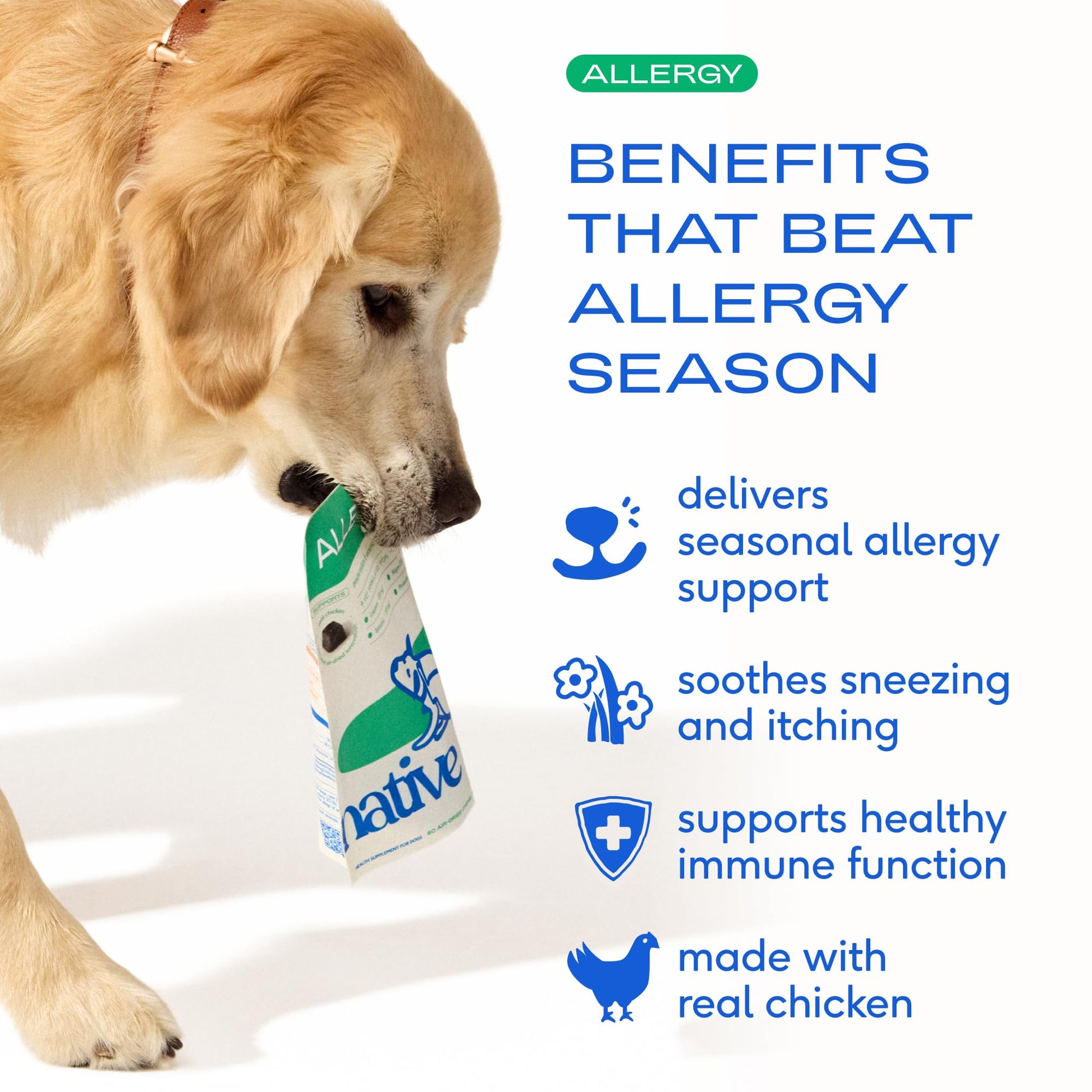 Native Pet Dog Allergy Chews - Dog Allergy Relief for Medium Breeds - Supports Seasonal Itch Relief, Healthy Immune Function & Reduces Sneezing - Colostrum, Spirulina, & Probiotics - 30 Days Supply - OzHealthStandard