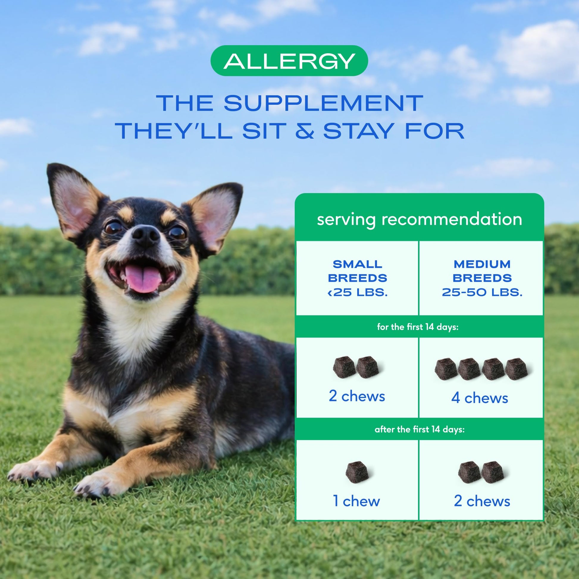 Native Pet Dog Allergy Chews - Dog Allergy Relief for Medium Breeds - Supports Seasonal Itch Relief, Healthy Immune Function & Reduces Sneezing - Colostrum, Spirulina, & Probiotics - 30 Days Supply - OzHealthStandard