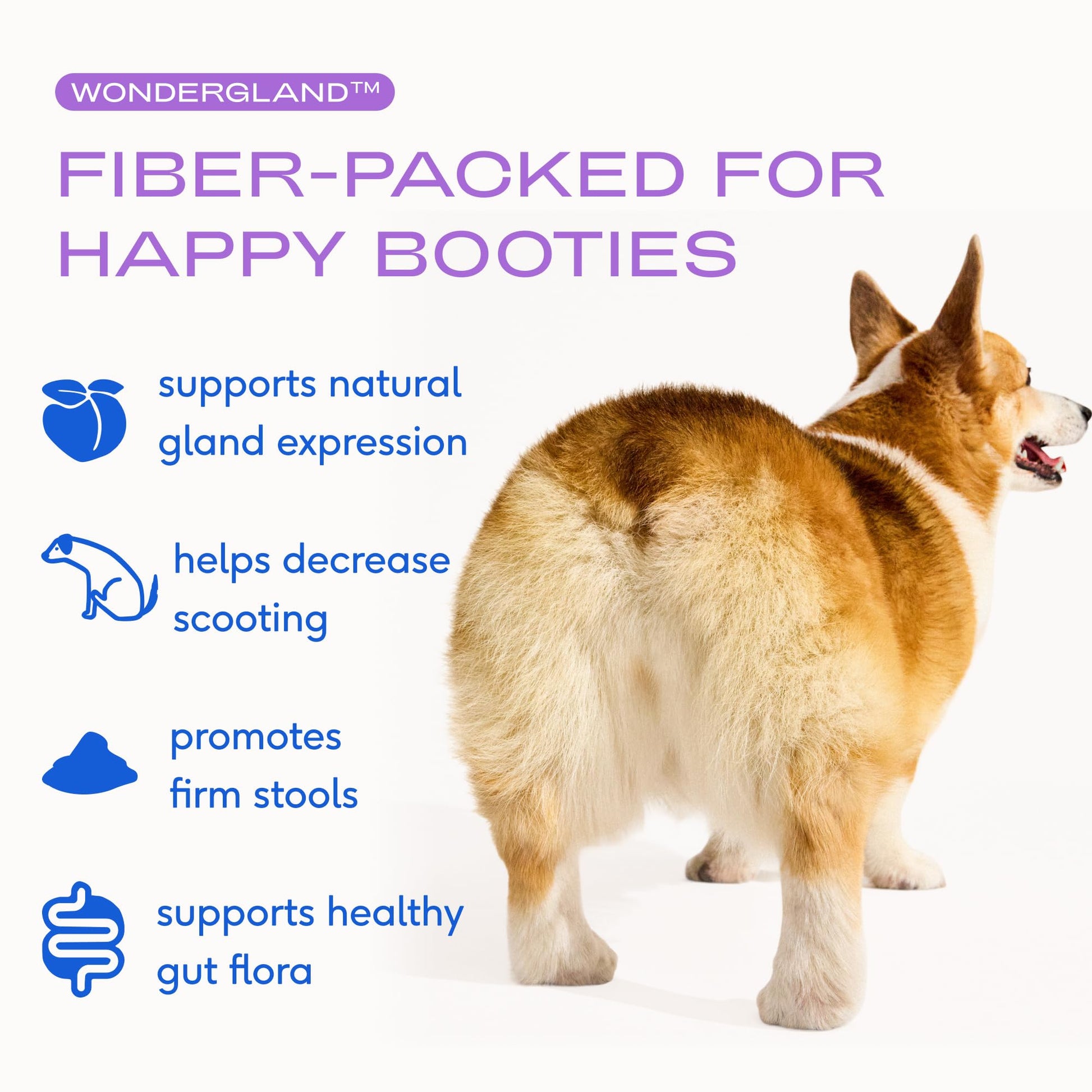 Native Pet WonderGland - Dog Anal Gland Supplement - Promotes Firm Stools, Natural Gland Expression to Help Reduce Scooting - Fiber Food Topper with Miscanthus Grass, Pumpkin & Probiotics - 30 Scoops - OzHealthStandard