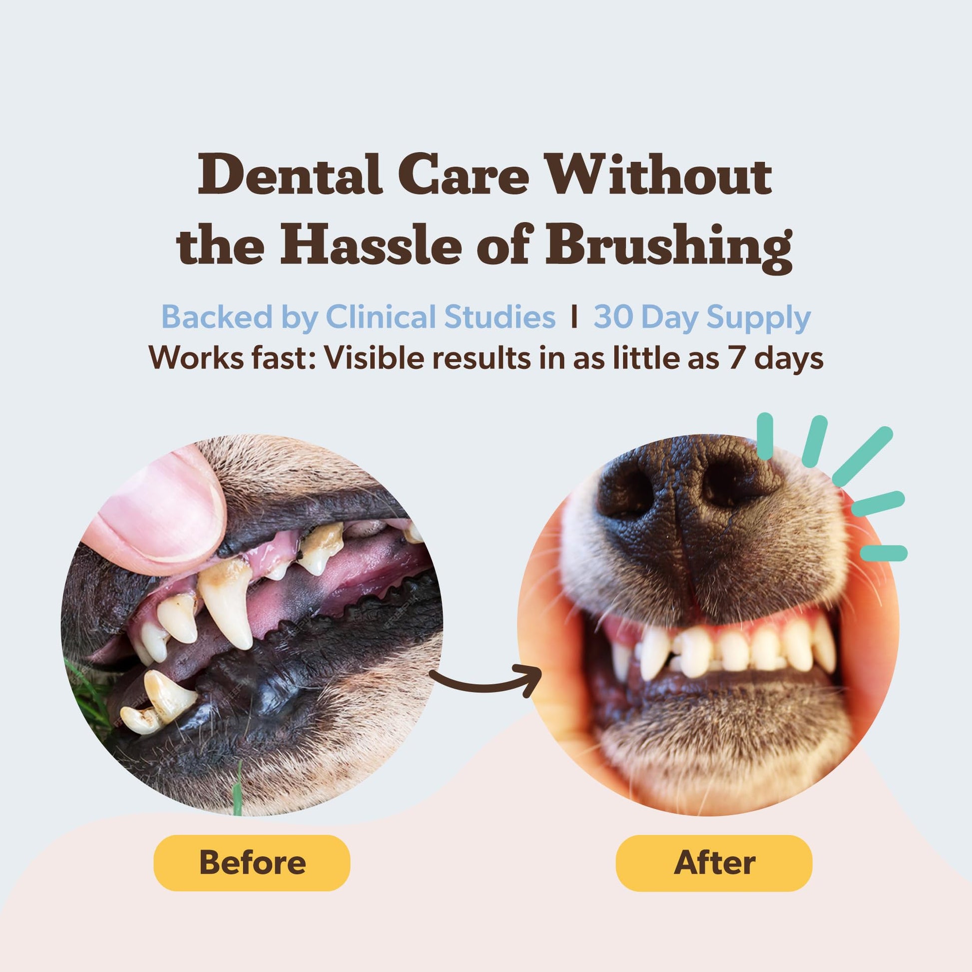 Natural Dog Company Dental Powder for Dogs – Freshens Breath & Helps Reduce Plaque & Tartar, Natural No-Brushing Canine Oral Health Postbiotic Supplement, Vet Formulated, Made in USA, 30-Day Supply - OzHealthStandard