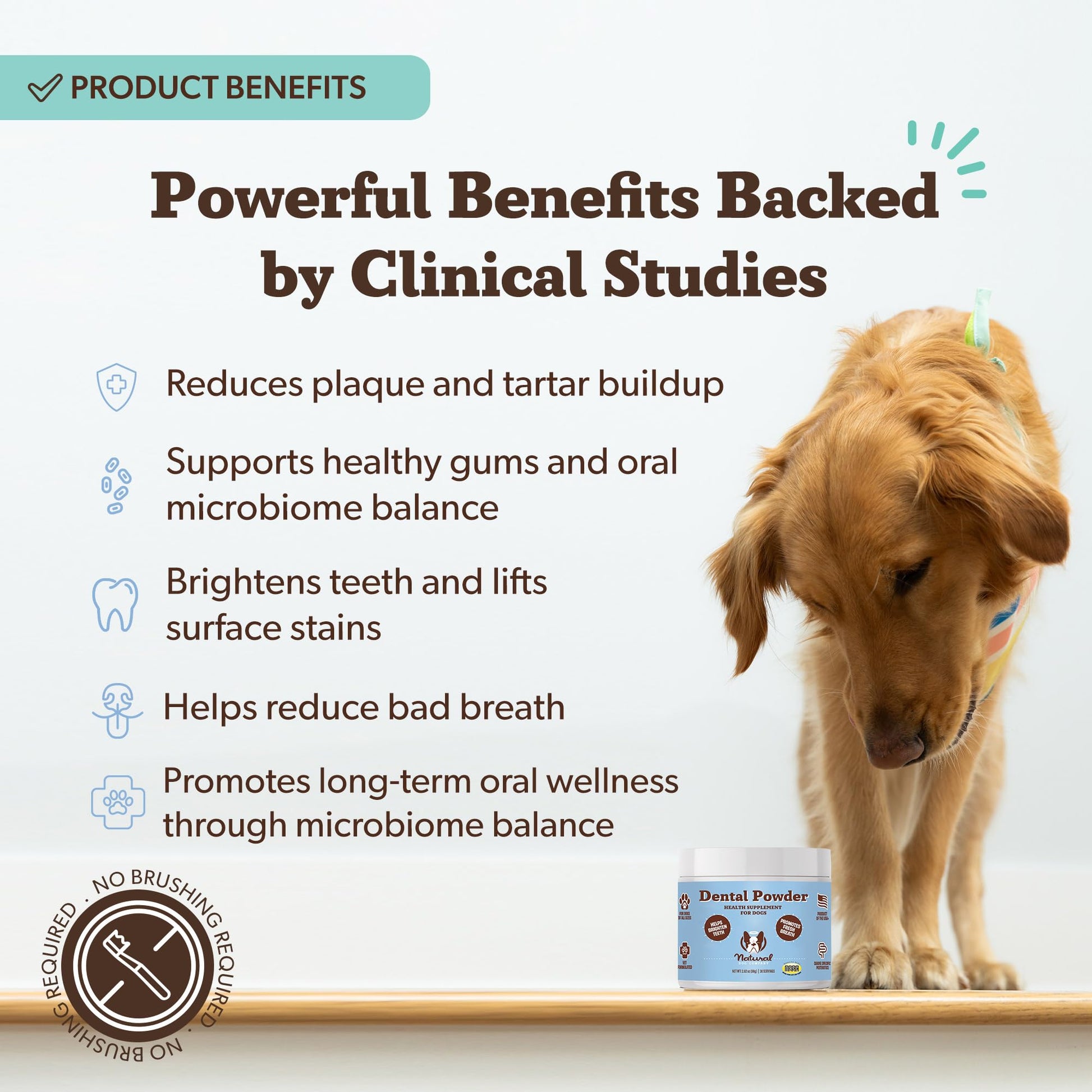 Natural Dog Company Dental Powder for Dogs – Freshens Breath & Helps Reduce Plaque & Tartar, Natural No-Brushing Canine Oral Health Postbiotic Supplement, Vet Formulated, Made in USA, 30-Day Supply - OzHealthStandard