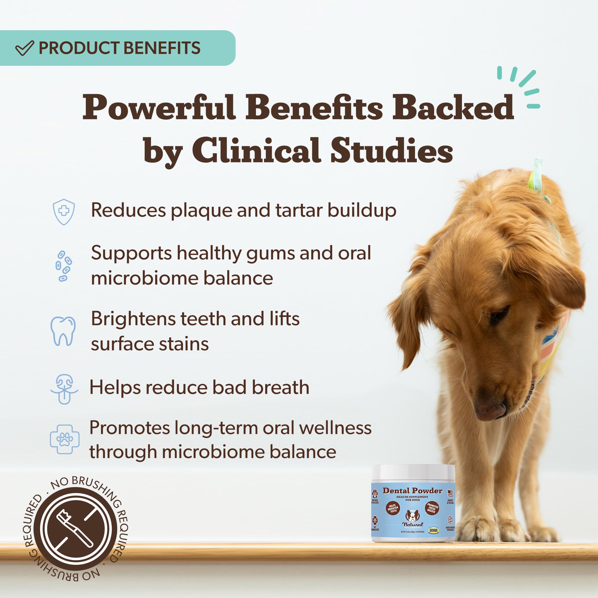 Natural Dog Company Dental Powder for Dogs – Freshens Breath & Helps Reduce Plaque & Tartar, Natural No-Brushing Canine Oral Health Postbiotic Supplement, Vet Formulated, Made in USA, 30-Day Supply - OzHealthStandard