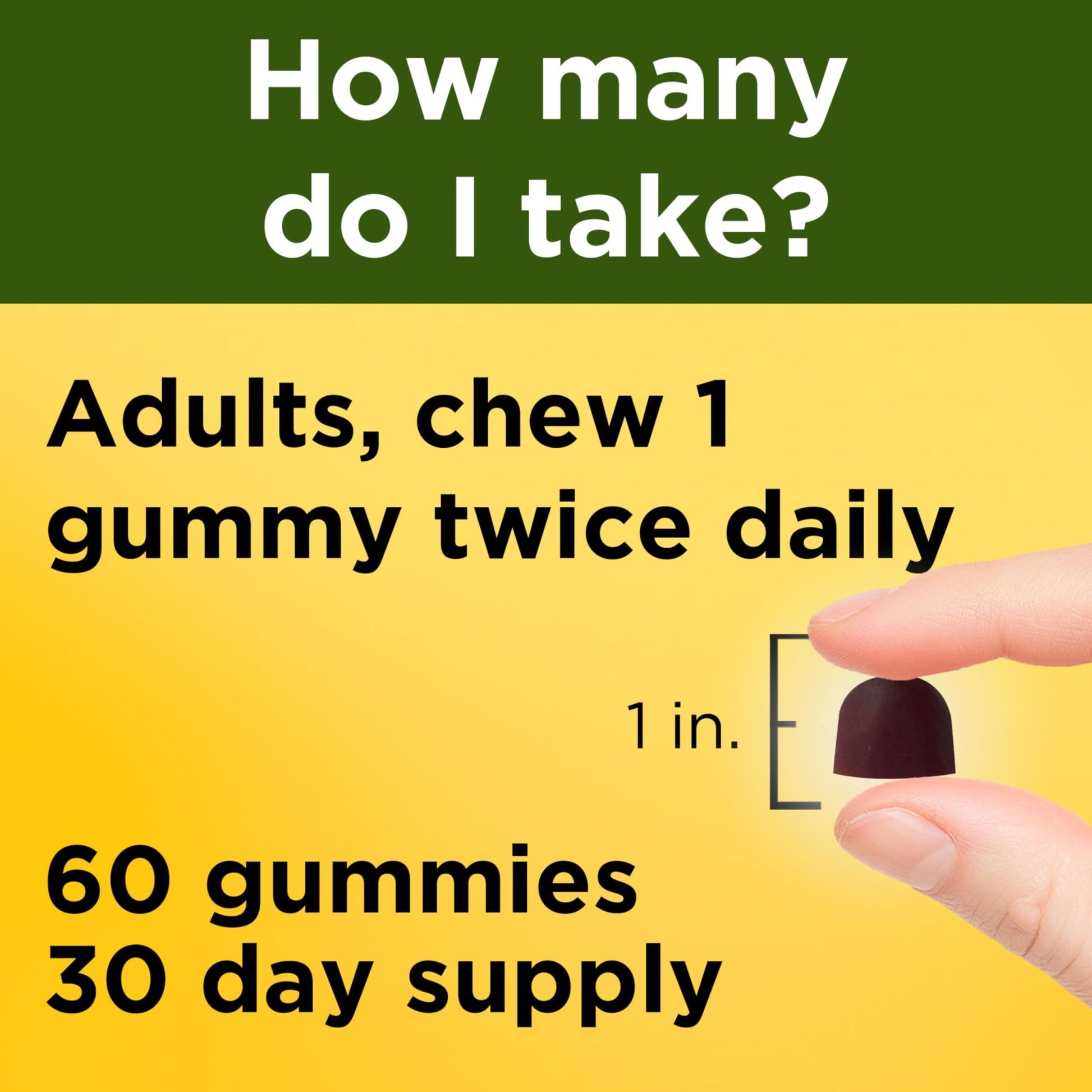 Nature Made Ashwagandha Gummies, Vegan, KSM 66 Ashwagandha Supplement for Stress Support, 60 Count, 30-Day Supply - OzHealthStandard