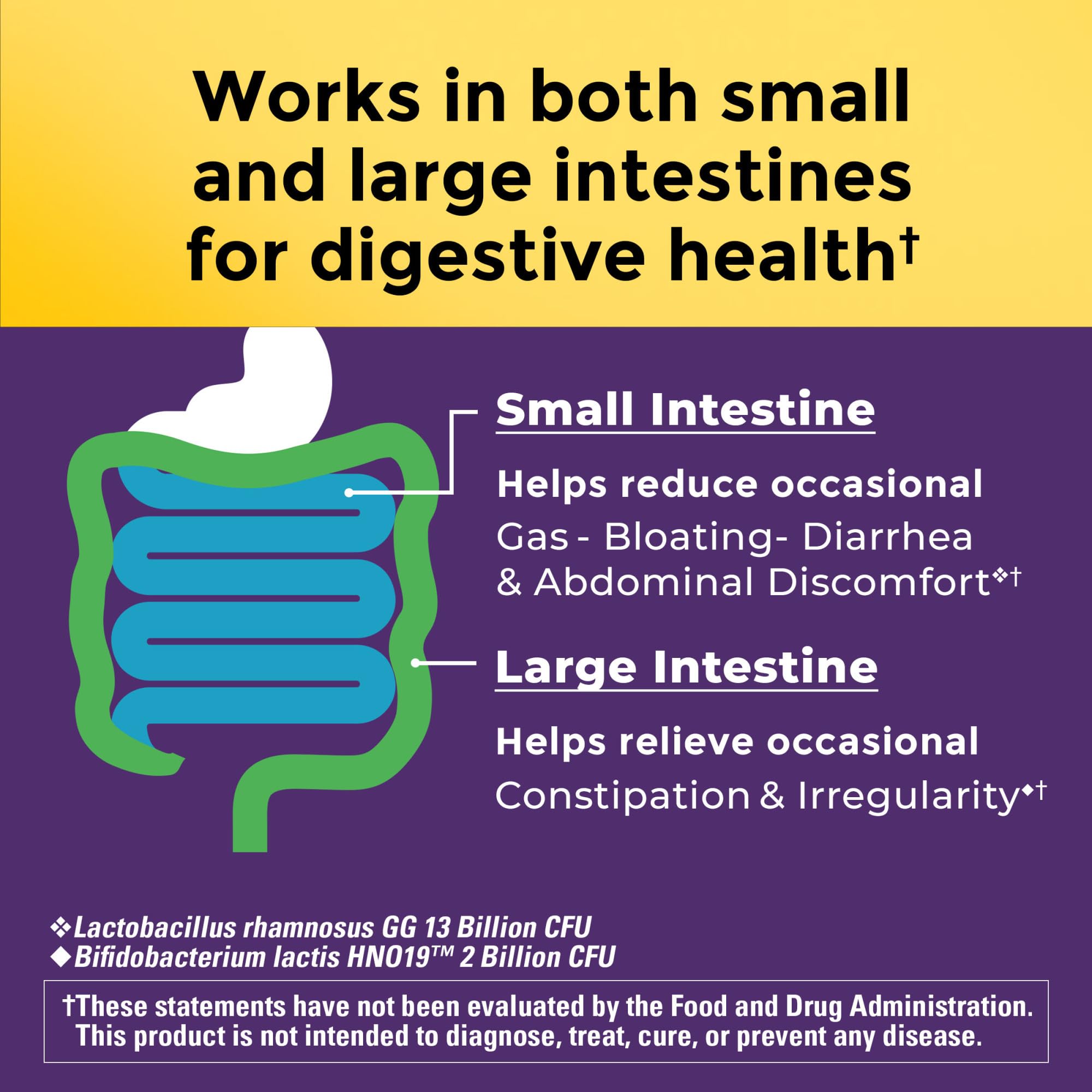 Nature Made Probiotics for Digestive Health Extra Strength 15 Billion CFU from Live Cultures, Probiotics for Women and Men, 30 Probiotic Capsules, 30 Day Supply - OzHealthStandard
