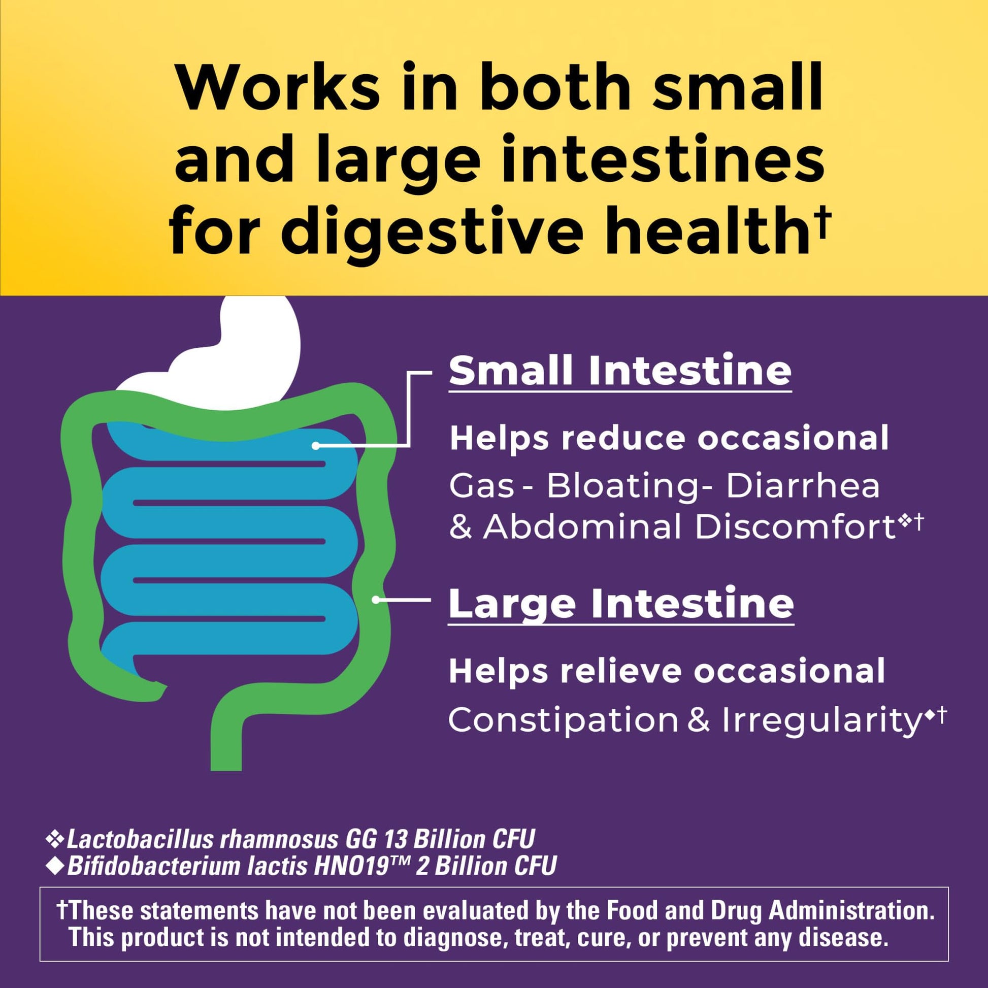 Nature Made Probiotics for Digestive Health Extra Strength 15 Billion CFU from Live Cultures, Probiotics for Women and Men, 30 Probiotic Capsules, 30 Day Supply - OzHealthStandard