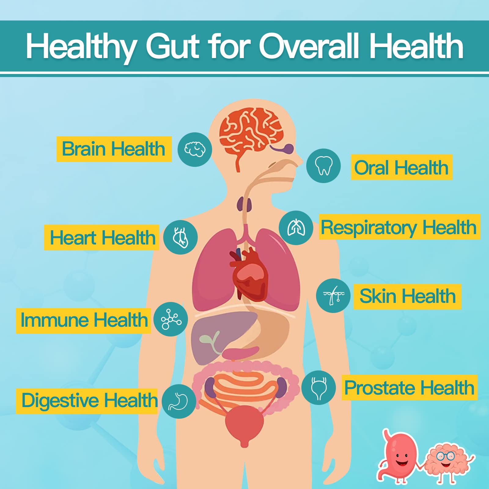 NATURE TARGET Probiotics for Men with Men Care Supplement, Prebiotics & Probiotic for Men's Digestive and Immune Health,60 Billion CFUs & 14 Strains Shelf Stable, - OzHealthStandard
