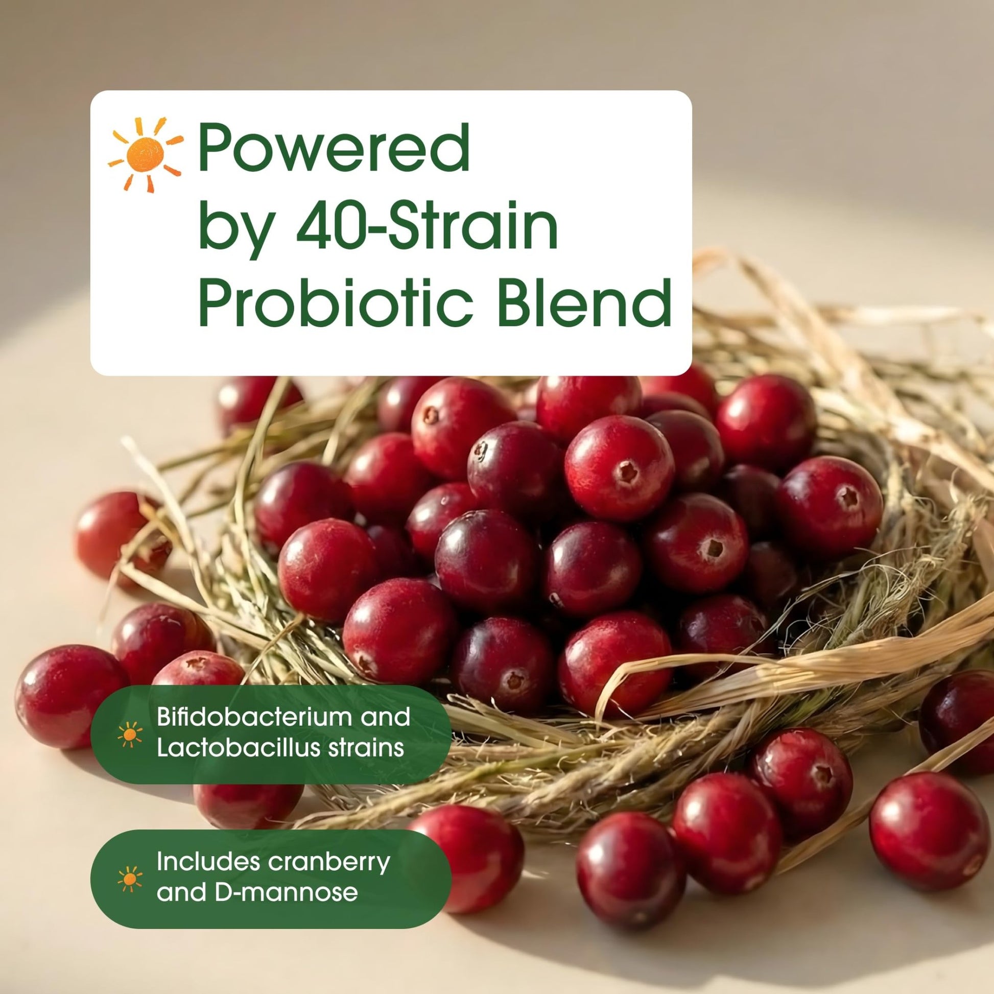 NatureBell Women's Probiotics+ - 240 Vegetarian Capsules - Prebiotic, Probiotic, Postbiotic & Digestive Enzymes - Made with Cranberry, D-Mannose, Inositol & More - OzHealthStandard