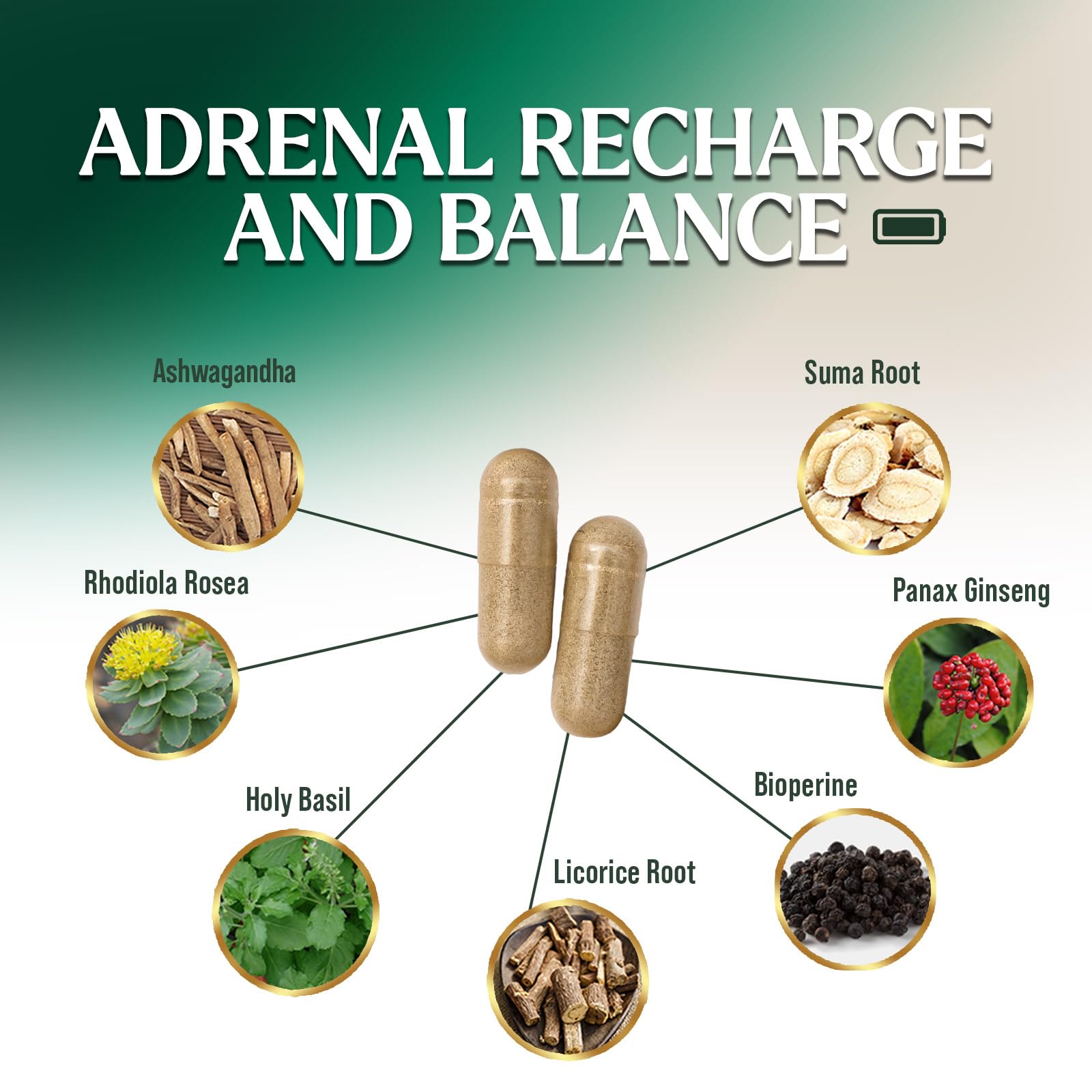 Nature's Nutrition Adrenal Support Supplements Cortex Complex, Best Energy Supplement, Supports Health & Energy Levels, Daily Ashwagandha for Women & Men, Supports Immune System, 120 Capsules - OzHealthStandard