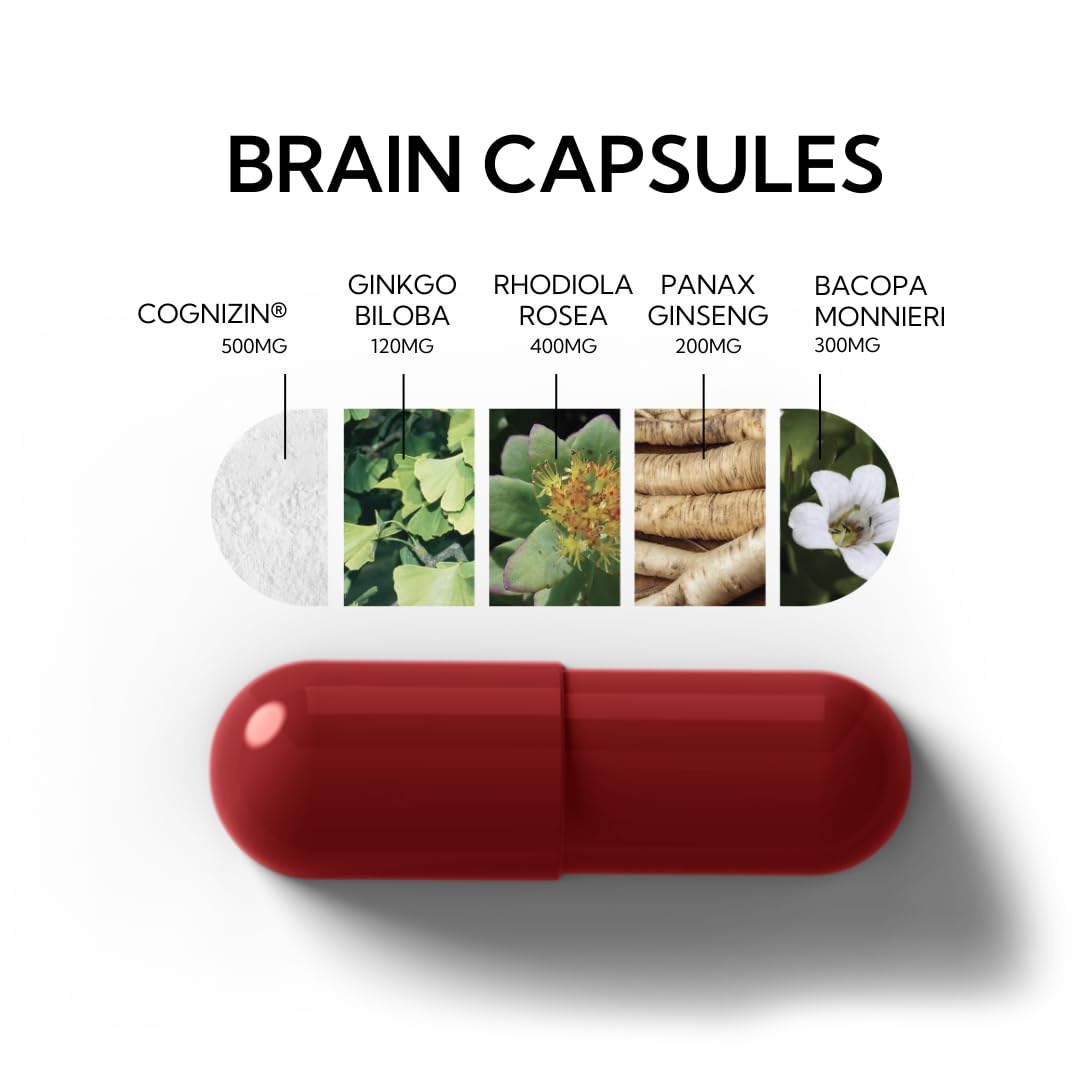 Neutonic Nootropic Brain Supplement | 1 Month Supply 90 Capsules | for Men and Women | Support Memory, Mental Clarity, Cognitive Function | Boost Focus, Energy, Brain Health - OzHealthStandard