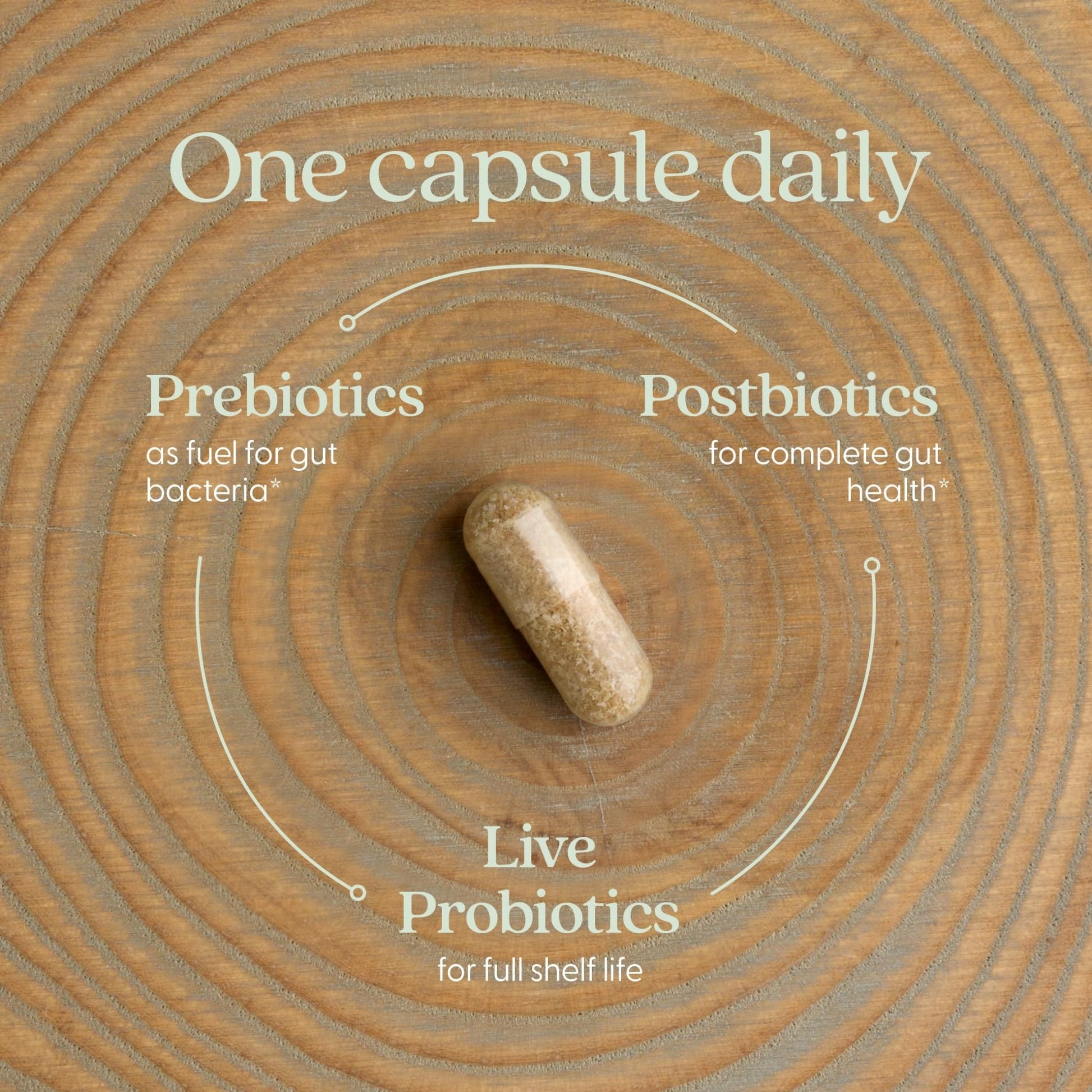 New Chapter All-Flora Probiotic for Advanced Digestion & Complete Gut Health with Prebiotics + Postbiotics, Clinical-Strength Strains, 100% Vegetarian, Non-GMO, Shelf Stable - 60 ct (2 Month Supply) - OzHealthStandard