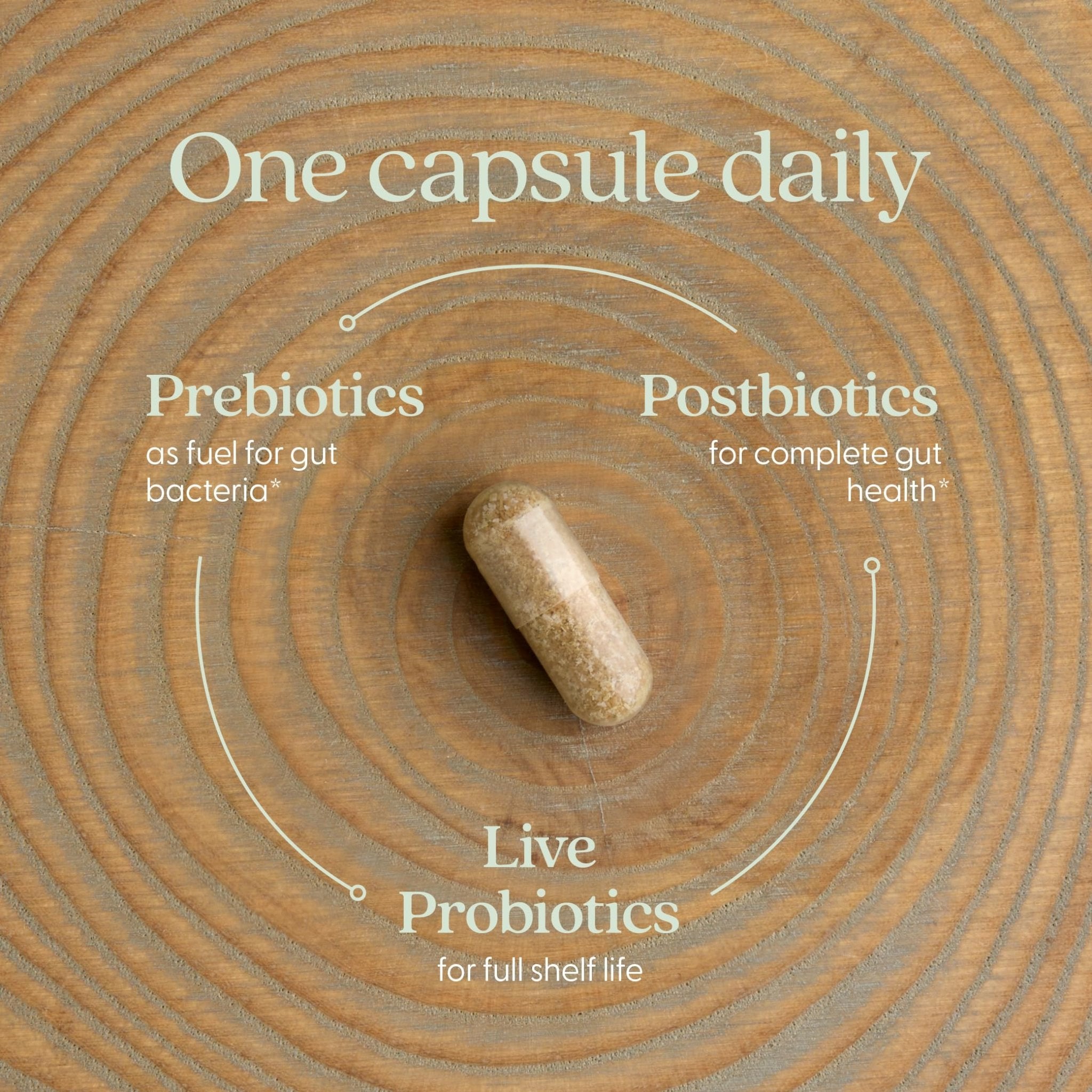 New Chapter All-Flora Probiotic for Advanced Digestion & Complete Gut Health with Prebiotics + Postbiotics, Clinical-Strength Strains, 100% Vegetarian, Non-GMO, Shelf Stable - 60 ct (2 Month Supply) - OzHealthStandard
