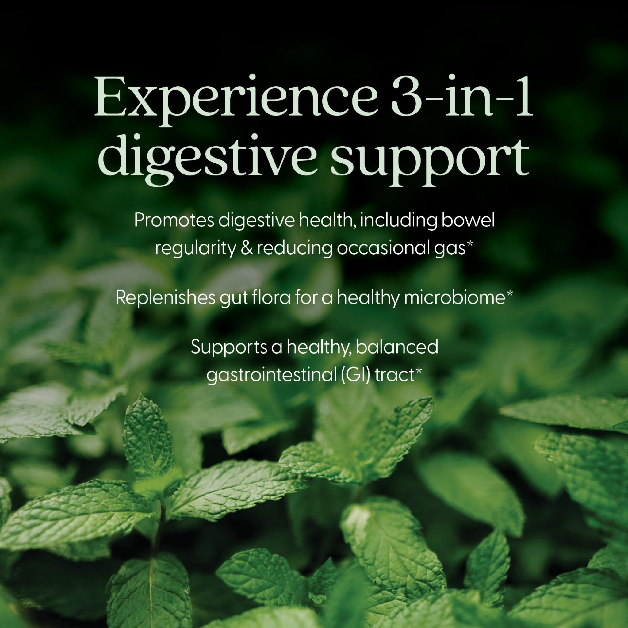New Chapter All-Flora Probiotic for Advanced Digestion & Complete Gut Health with Prebiotics + Postbiotics, Clinical-Strength Strains, 100% Vegetarian, Non-GMO, Shelf Stable - 60 ct (2 Month Supply) - OzHealthStandard