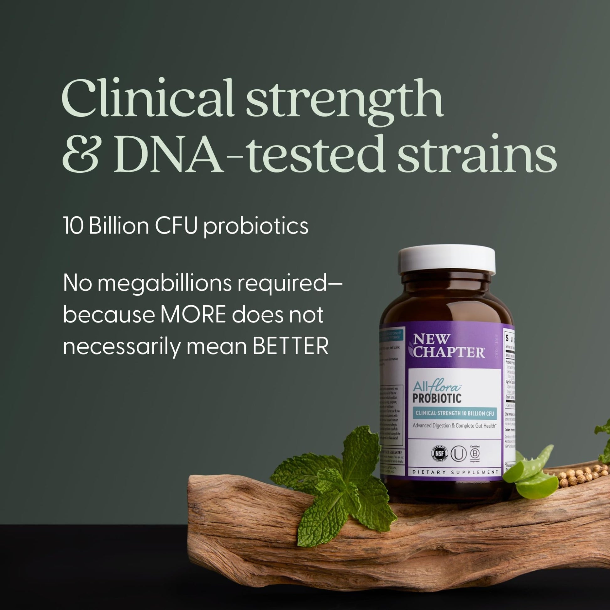 New Chapter All-Flora Probiotic for Advanced Digestion & Complete Gut Health with Prebiotics + Postbiotics, Clinical-Strength Strains, 100% Vegetarian, Non-GMO, Shelf Stable - 60 ct (2 Month Supply) - OzHealthStandard