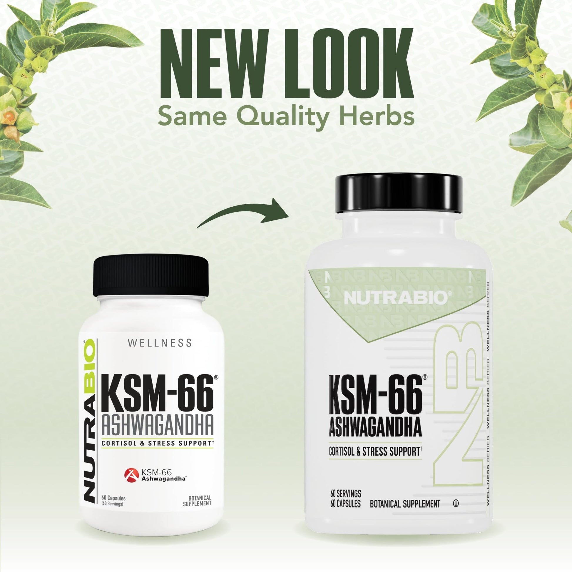 NutraBio Ashwagandha KSM-66 | Ashwagandha Herbal Supplement for Stress, Mood, & Performance | 600 MG of Clinically Studied KSM66 60 Capsules - OzHealthStandard