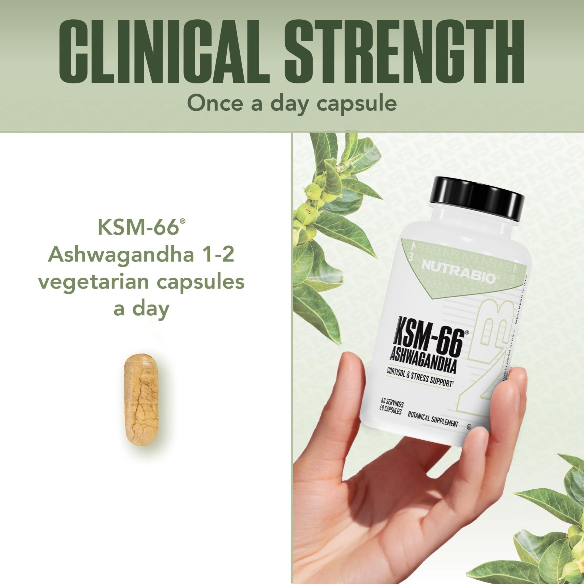 NutraBio Ashwagandha KSM-66 | Ashwagandha Herbal Supplement for Stress, Mood, & Performance | 600 MG of Clinically Studied KSM66 60 Capsules - OzHealthStandard