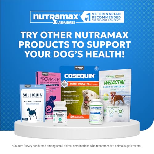 Nutramax Cosequin Elements Dog Joint Health Supplement with Glucosamine, Green Lipped Mussel, Omega-3s, Eggshell Membrane, Hyaluronic Acid, & Postbiotics, 75 Tasty Chewable Tablets for Dogs - OzHealthStandard