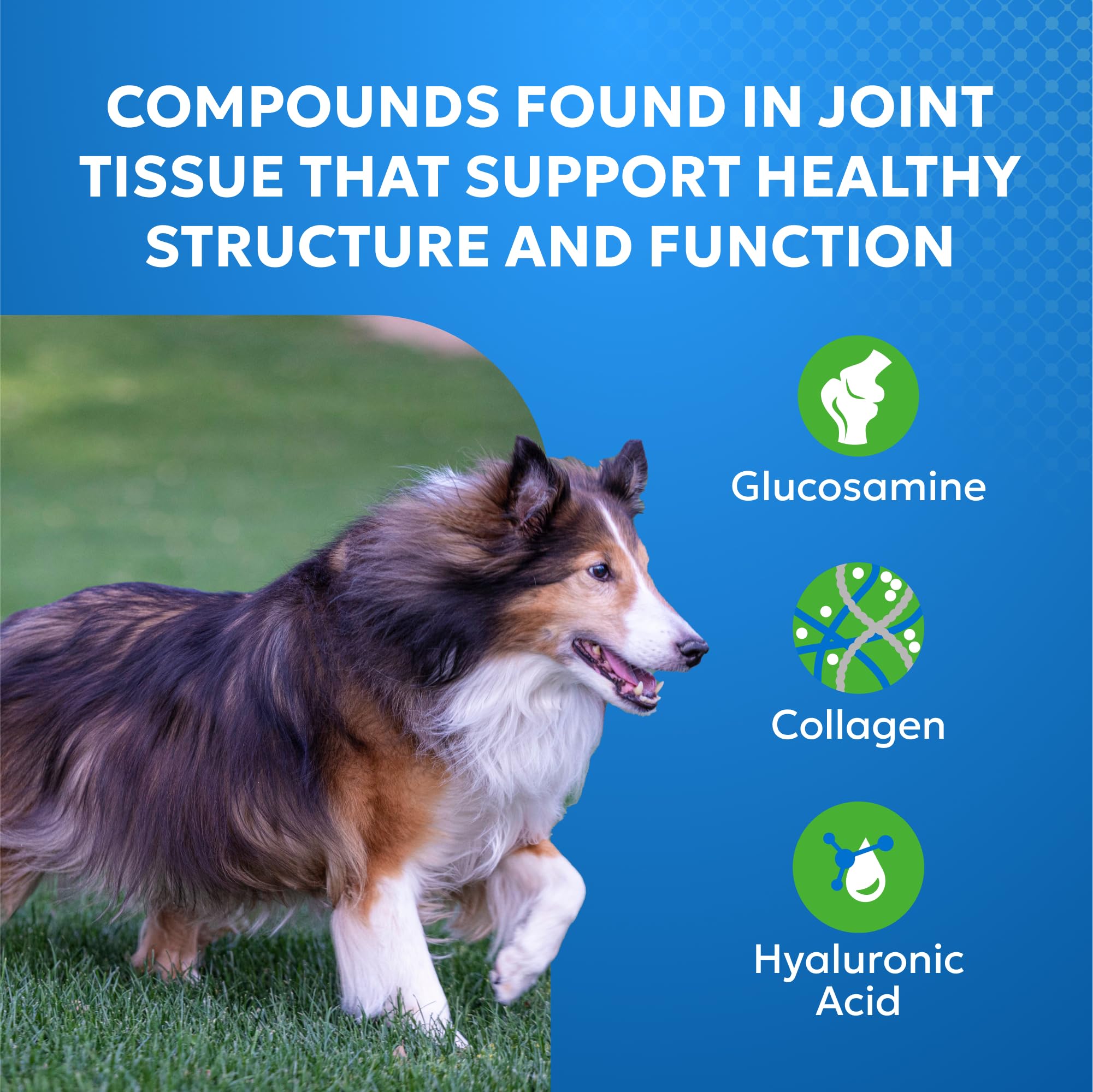 Nutramax Cosequin Elements Dog Joint Health Supplement with Glucosamine, Green Lipped Mussel, Omega-3s, Eggshell Membrane, Hyaluronic Acid, & Postbiotics, 75 Tasty Chewable Tablets for Dogs - OzHealthStandard