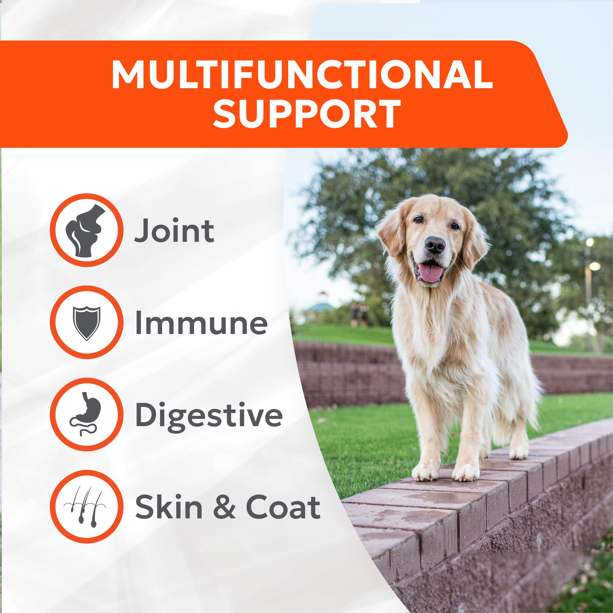 Nutramax Cosequin Joint Health Supplement with Multifunctional Support for Dogs, Soft Chews with Glucosamine, Chondroitin, Omega-3s, and Postbiotics, 90 Count - OzHealthStandard
