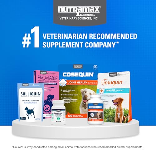 Nutramax Cosequin Joint Health Supplement with Multifunctional Support for Dogs, Soft Chews with Glucosamine, Chondroitin, Omega-3s, and Postbiotics, 90 Count - OzHealthStandard