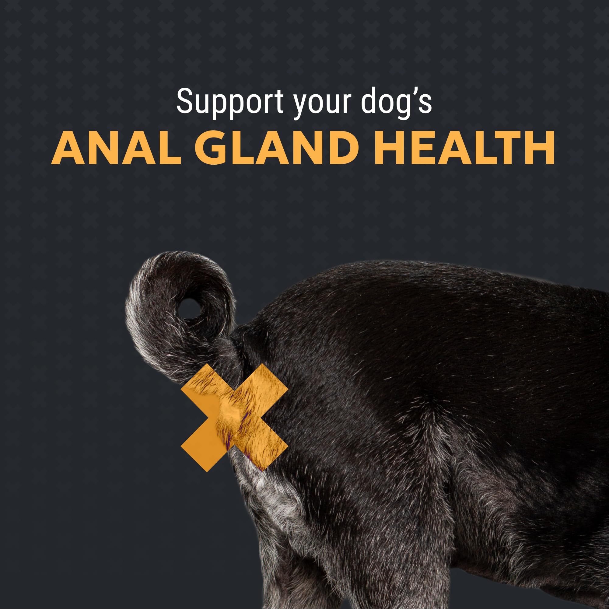 Nutramax Filaquin Anal Gland Supplement for Dogs, from The Same Company as Cosequin & Proviable, with Pre & Postbiotics and Psyllium Husk Fiber to Support Anal Gland Health, 90 Count Soft Chews - OzHealthStandard