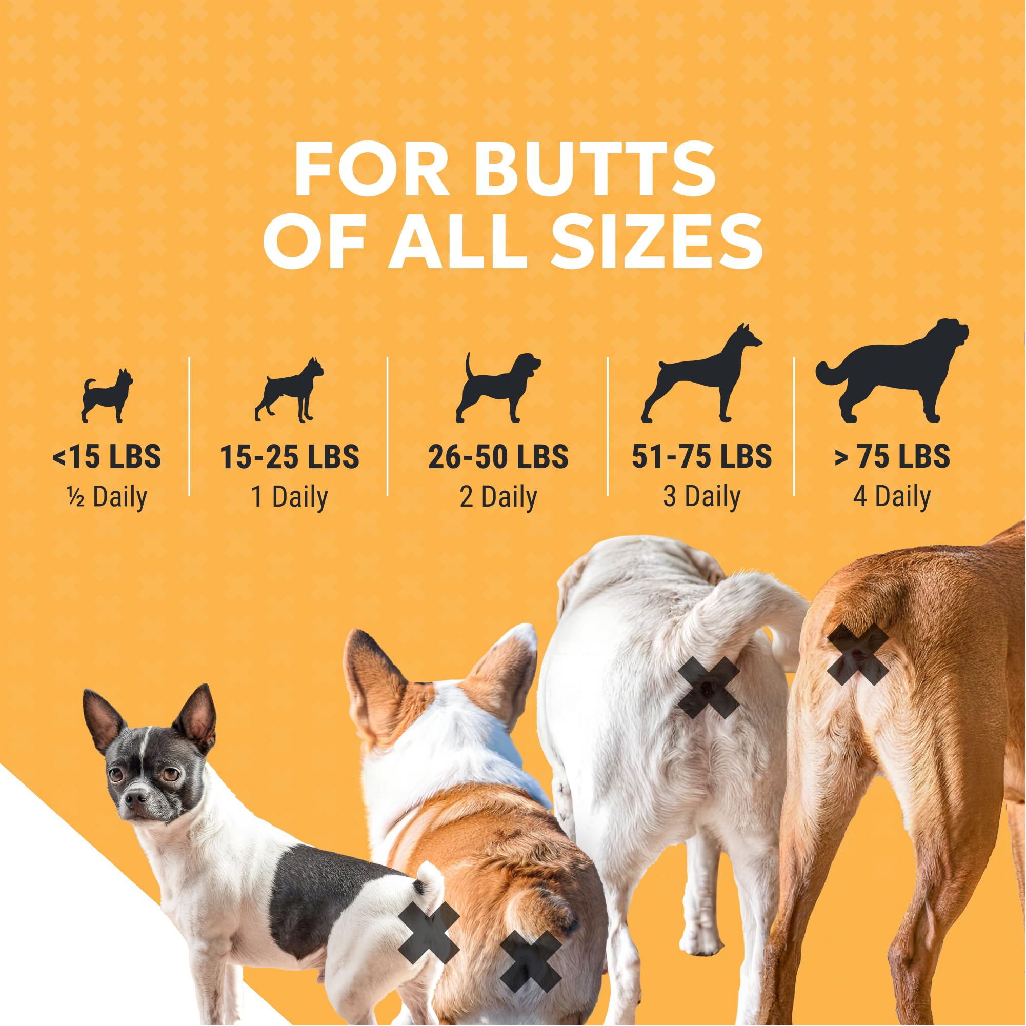 Nutramax Filaquin Anal Gland Supplement for Dogs, from The Same Company as Cosequin & Proviable, with Pre & Postbiotics and Psyllium Husk Fiber to Support Anal Gland Health, 90 Count Soft Chews - OzHealthStandard