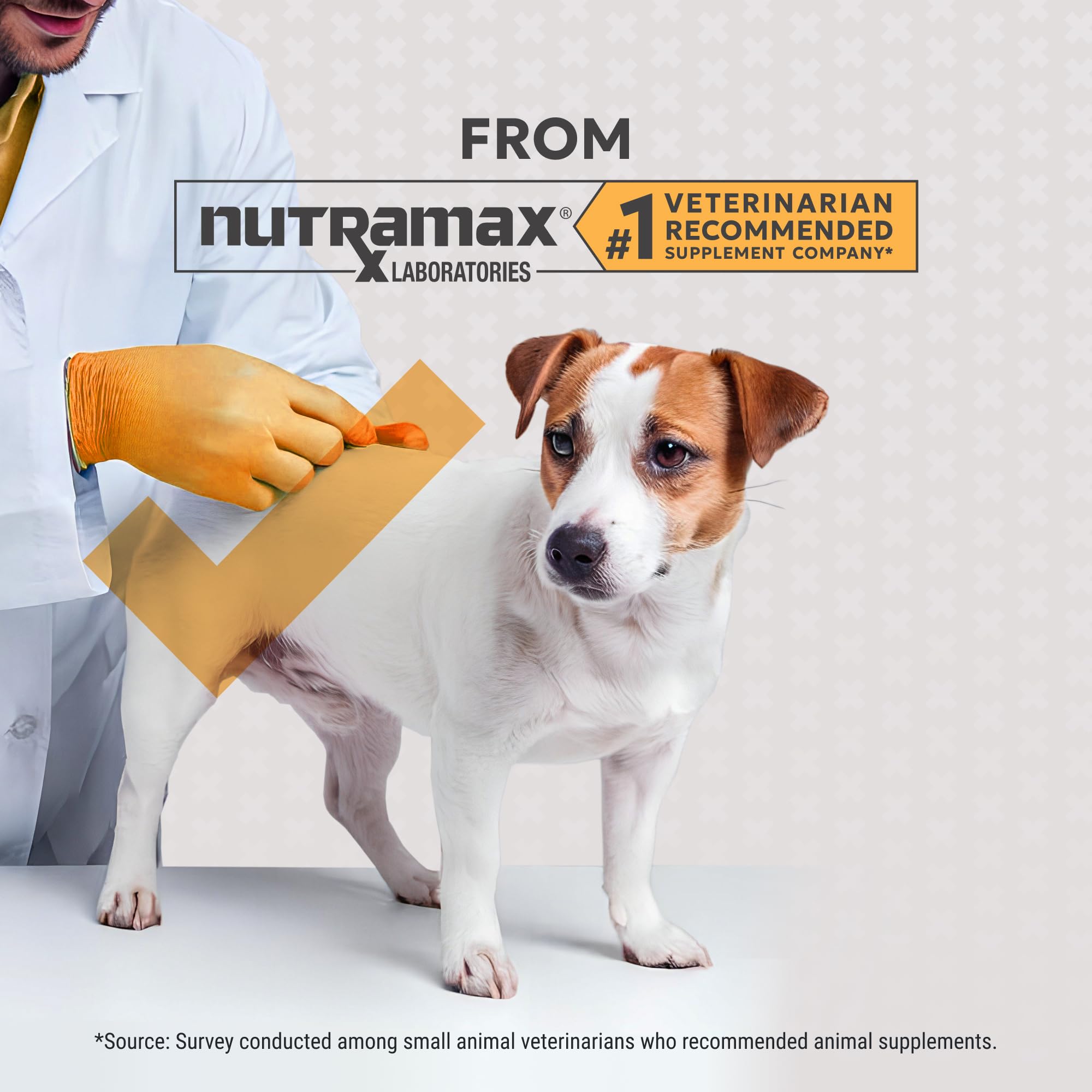Nutramax Filaquin Anal Gland Supplement for Dogs, from The Same Company as Cosequin & Proviable, with Pre & Postbiotics and Psyllium Husk Fiber to Support Anal Gland Health, 90 Count Soft Chews - OzHealthStandard