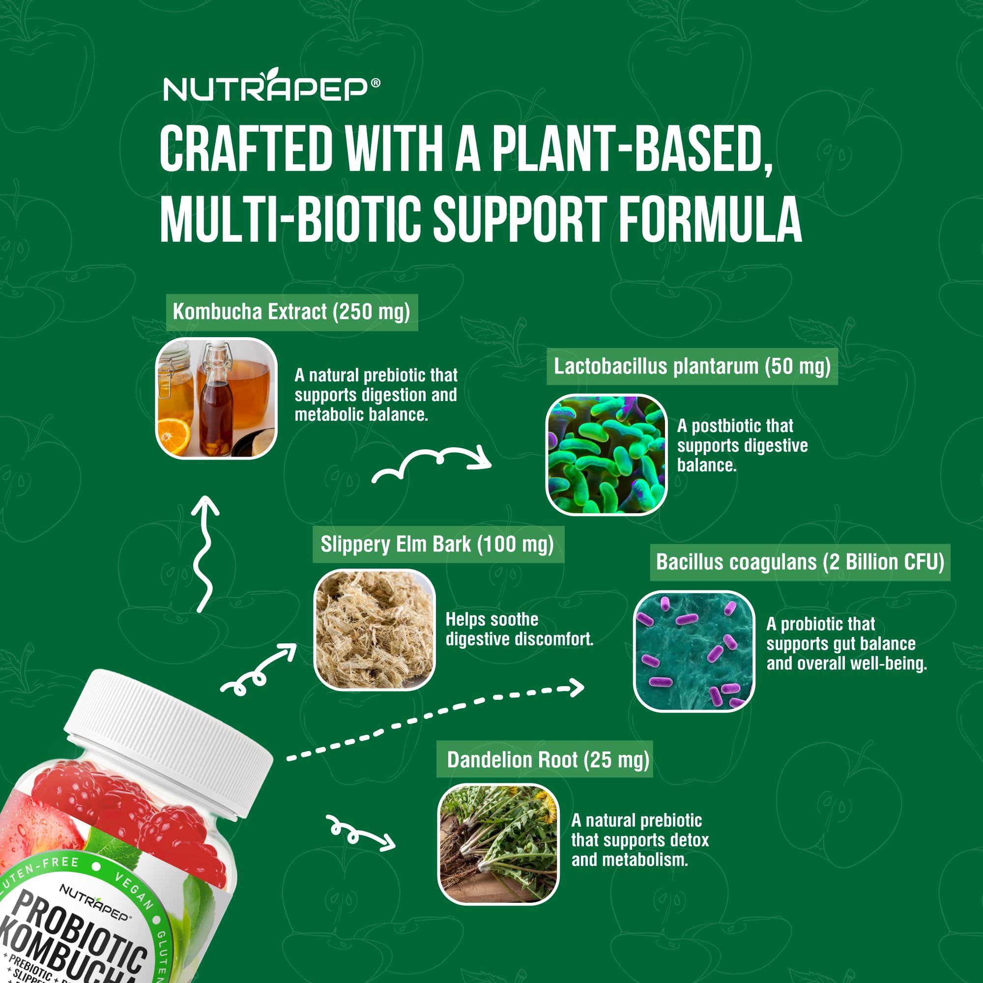 NutraPep Probiotic Kombucha Gummies - Women Men Probiotic Prebiotic Probiotic Blend for Gut Health Bloating Metabolism Support with Slippery Elm Bark Dandelion Root - Vegan Gluten Free Apple Flavor - OzHealthStandard