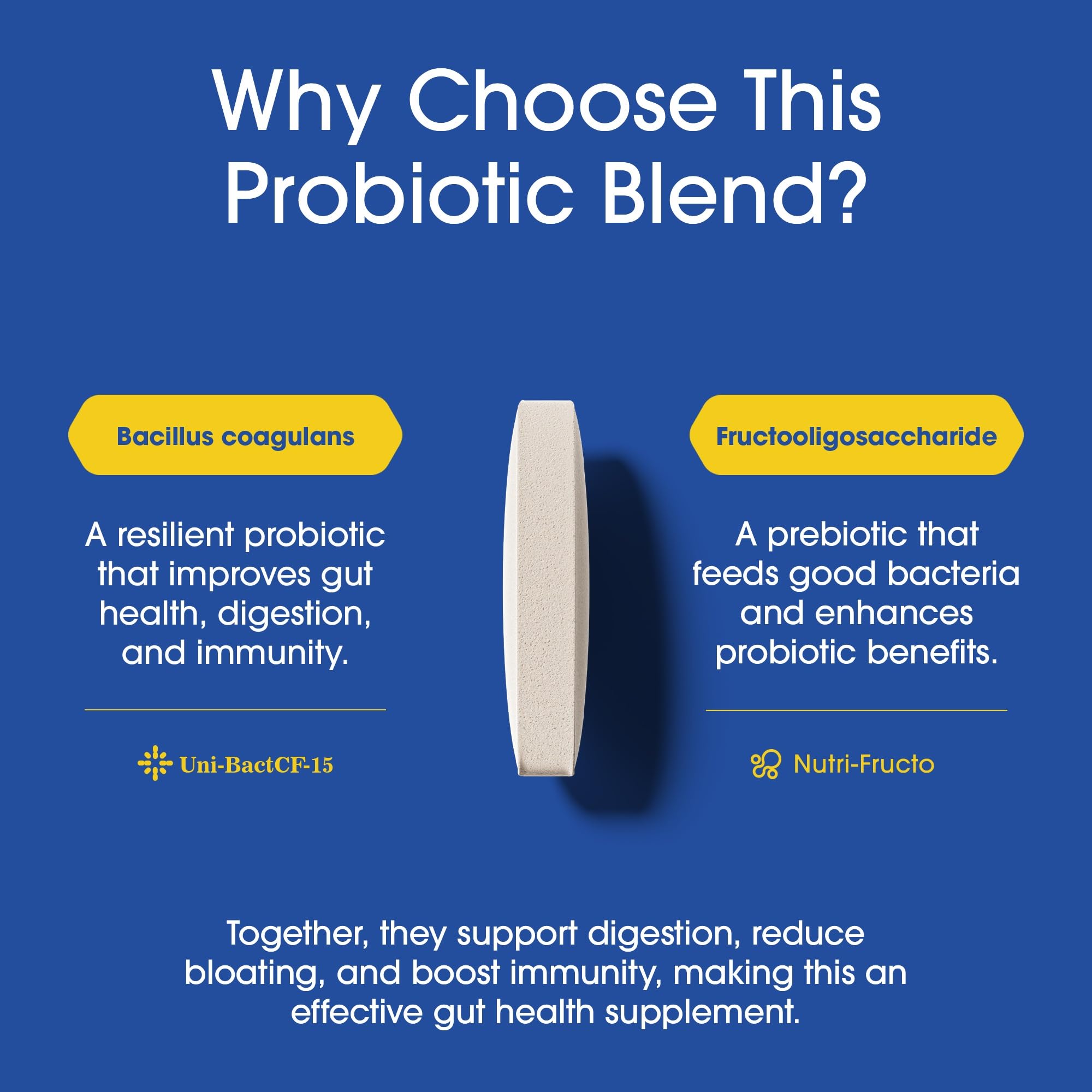 Nutrition Essentials Probiotics for Women and Men - with Lactase Enzyme and Prebiotic Fiber for Digestive Health - 80 Percent + More Potent Supplement - OzHealthStandard
