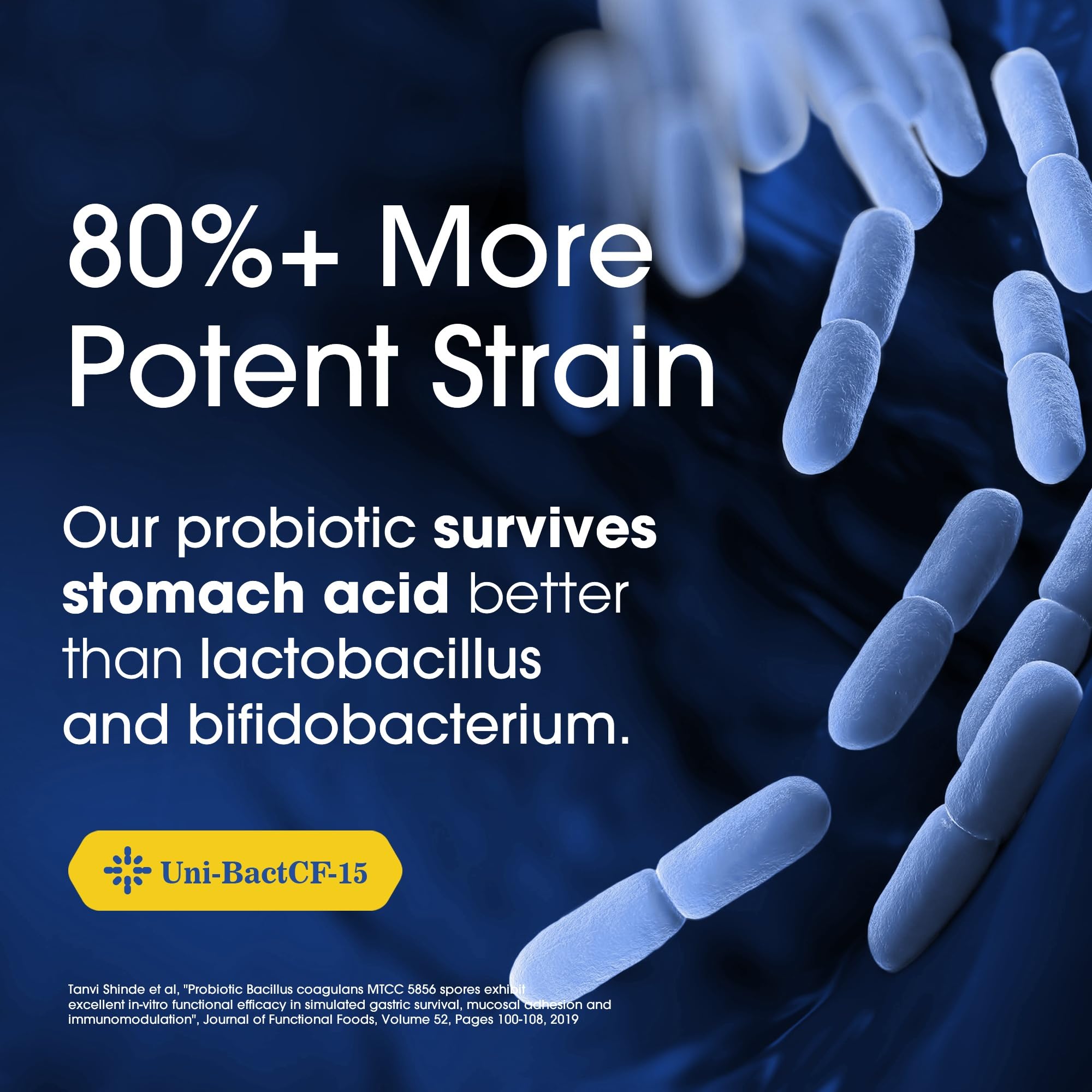 Nutrition Essentials Probiotics for Women and Men - with Lactase Enzyme and Prebiotic Fiber for Digestive Health - 80 Percent + More Potent Supplement - OzHealthStandard