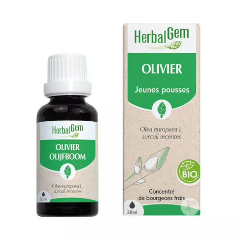 Olivier BIO Macérat mère 30 ml HERBALGEM - OzHealthStandard