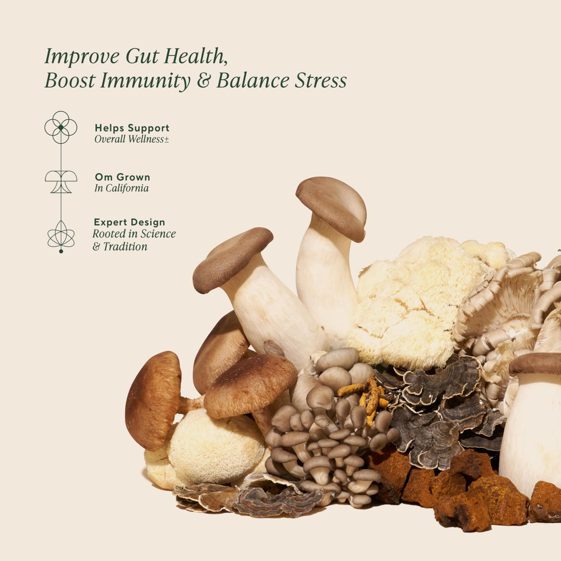 Om Master Blend Mushroom Powder – Organic Mushroom Supplement with 10 Mushrooms and Ashwagandha - Support Immunity, Gut Health & Stress Relief, - OzHealthStandard
