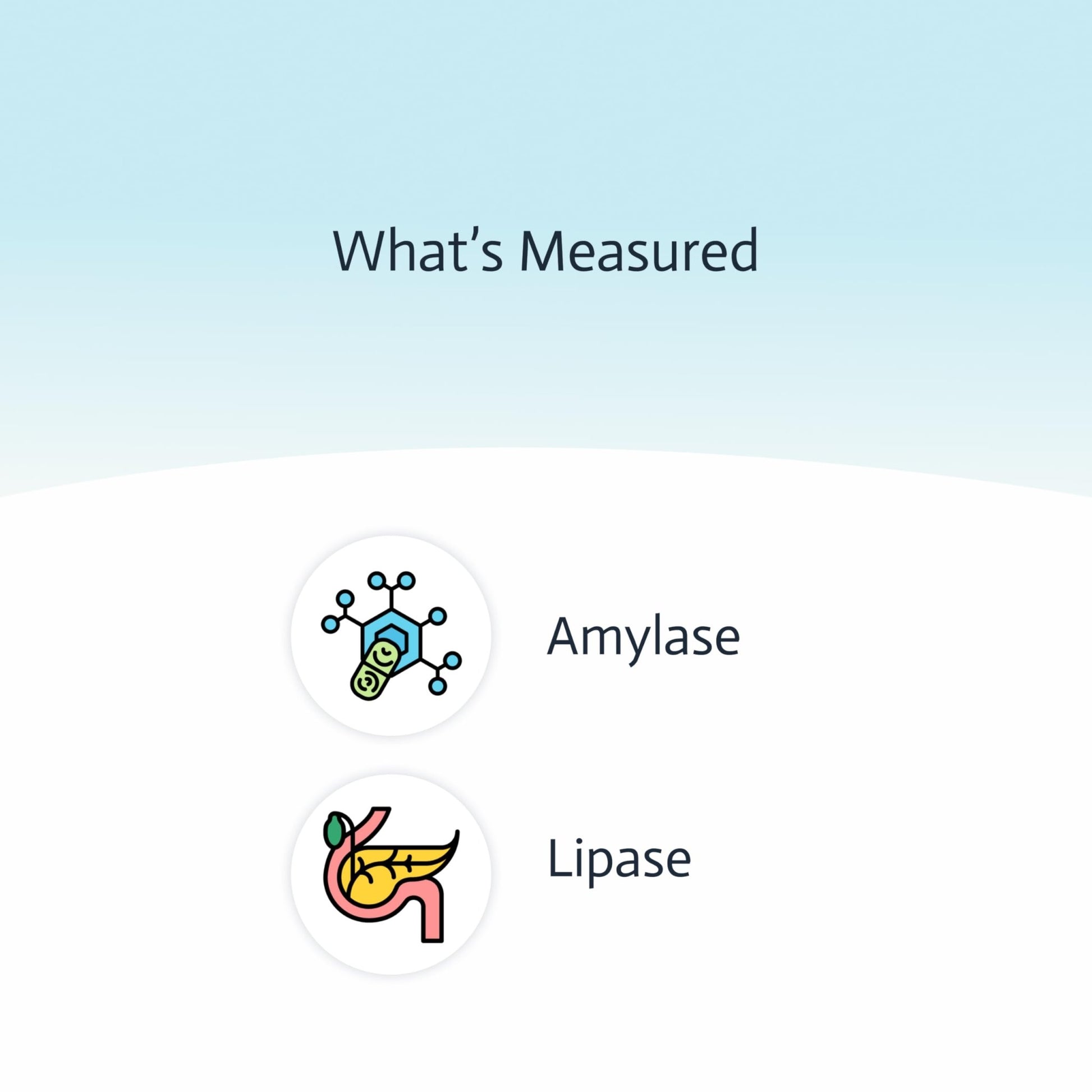 Pancreatic Function Test | 2-in-1 at-Home Test | Amylase | Lipase | Cap & CLIA Accredited Testing | Not Testable in NY & RI - OzHealthStandard