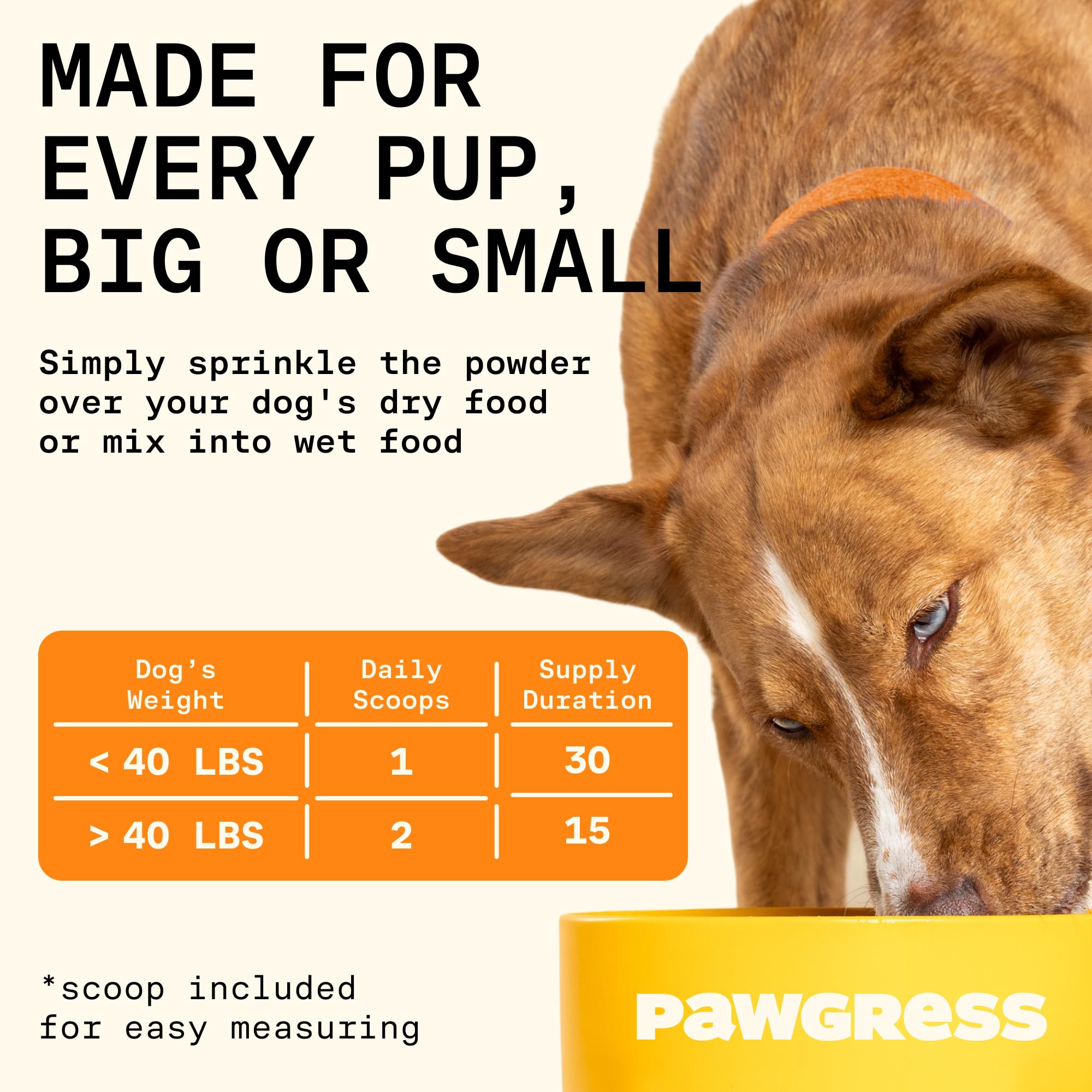 Pawgress 5-in-1 Dog Probiotic Powder – 100% Natural Gut Health Support with Prebiotics, Postbiotics & Enzymes - Made in USA – 30 Scoops - OzHealthStandard