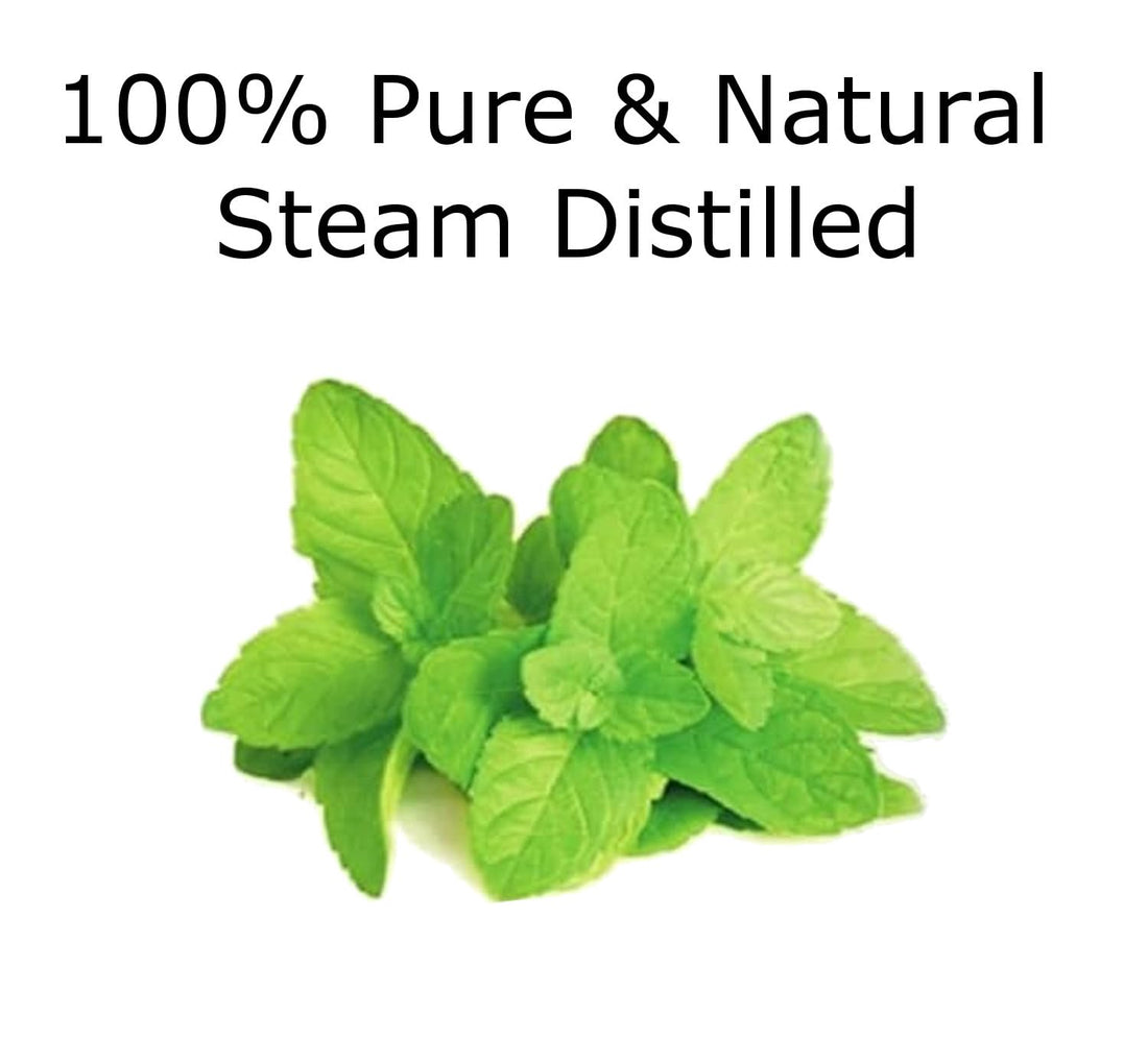 Peppermint Essential Oil 4 oz. with Huge Glass Bottle, Glass Dropper, and Sprayer. Detailed User's Guide E-Book - OzHealthStandard