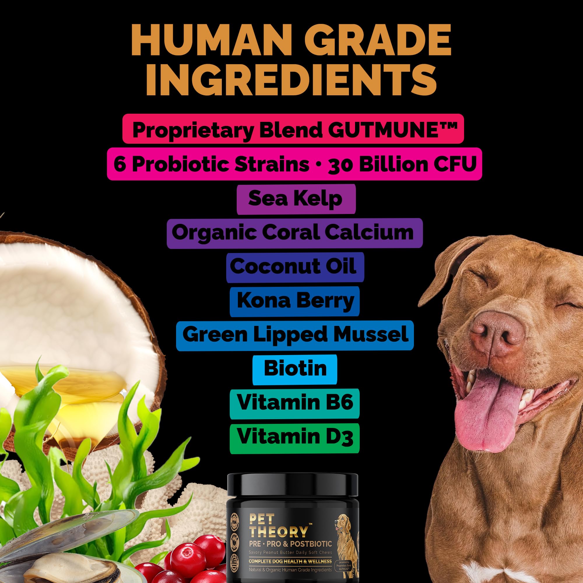 Pet Theory Probiotics for Dogs. Dog Digestive Health-Pre Pro and Postbiotic Combination-Pet Supplements for Gut Health-Supports Digestion, Boost Immunity-100CT Soft Chews - OzHealthStandard