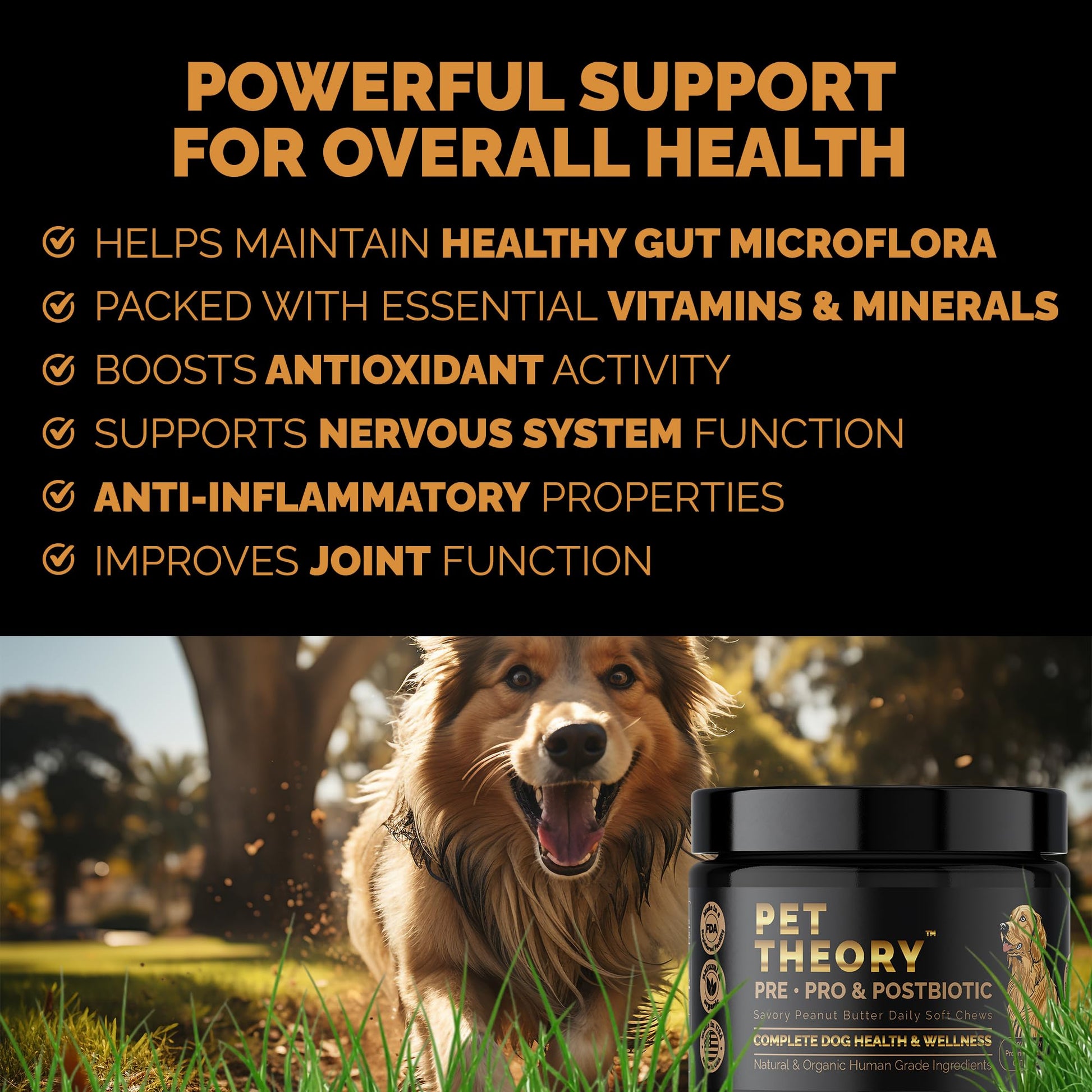 Pet Theory Probiotics for Dogs. Dog Digestive Health-Pre Pro and Postbiotic Combination-Pet Supplements for Gut Health-Supports Digestion, Boost Immunity-100CT Soft Chews - OzHealthStandard
