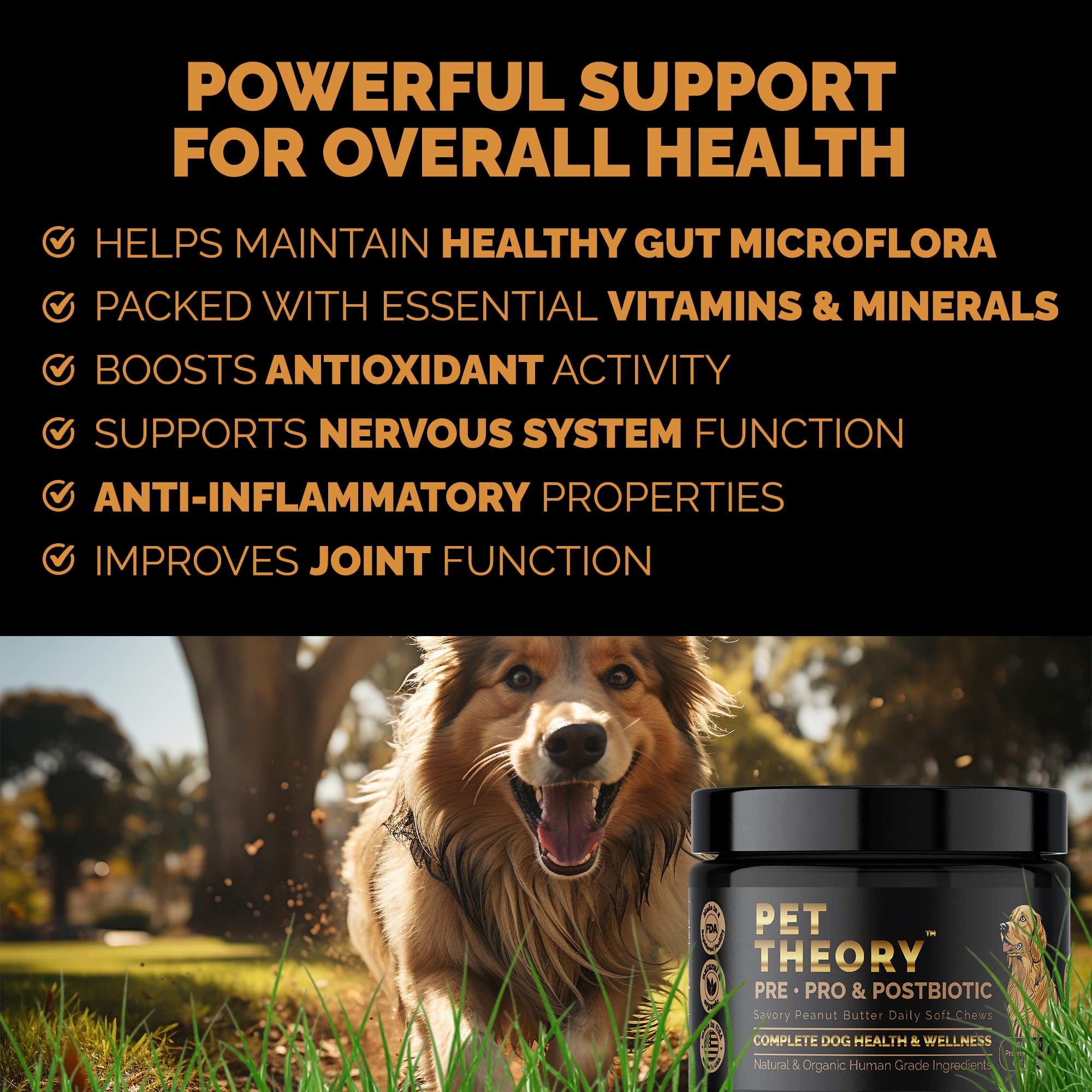 Pet Theory Probiotics for Dogs. Dog Digestive Health-Pre Pro and Postbiotic Combination-Pet Supplements for Gut Health-Supports Digestion, Boost Immunity-100CT Soft Chews - OzHealthStandard