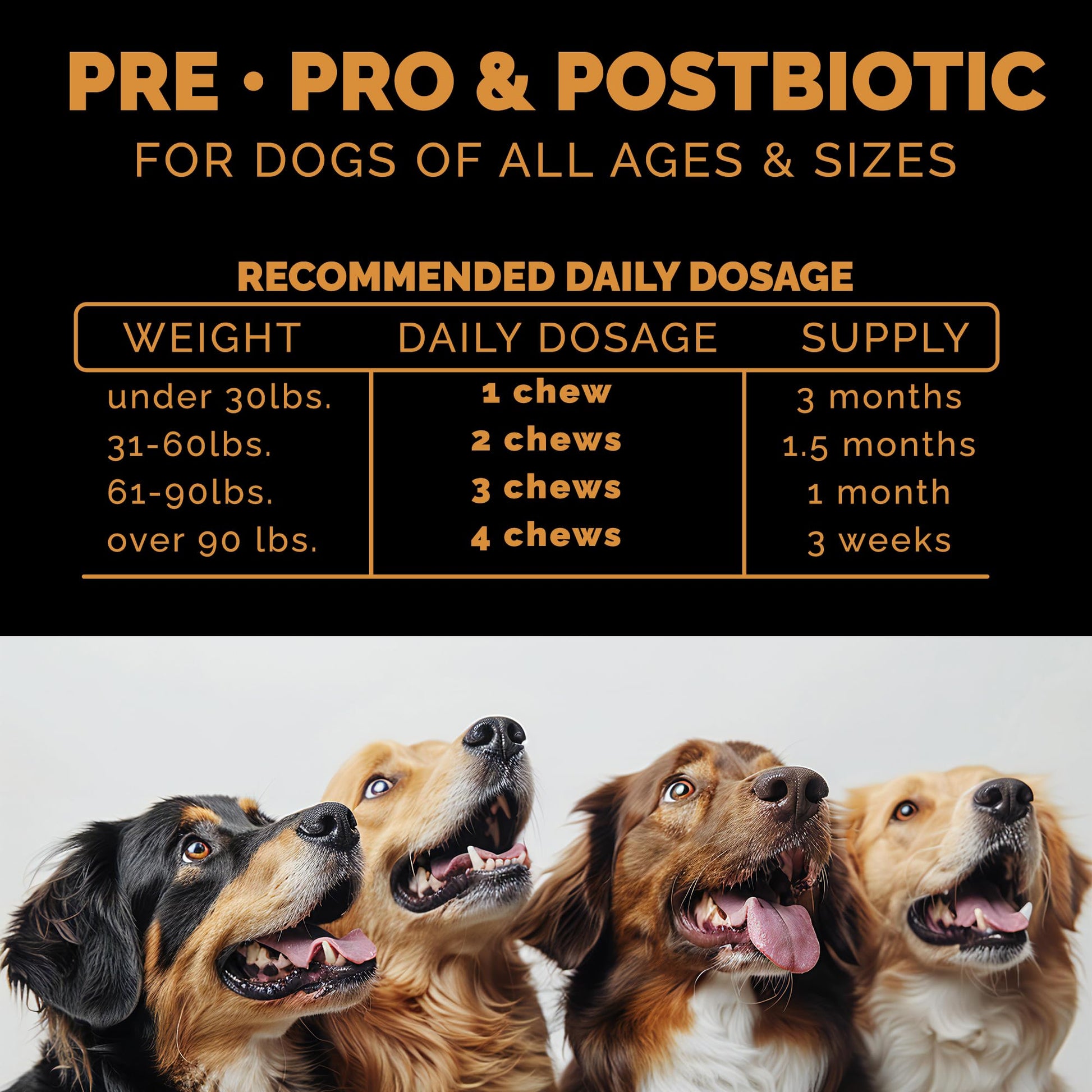 Pet Theory Probiotics for Dogs. Dog Digestive Health-Pre Pro and Postbiotic Combination-Pet Supplements for Gut Health-Supports Digestion, Boost Immunity-100CT Soft Chews - OzHealthStandard