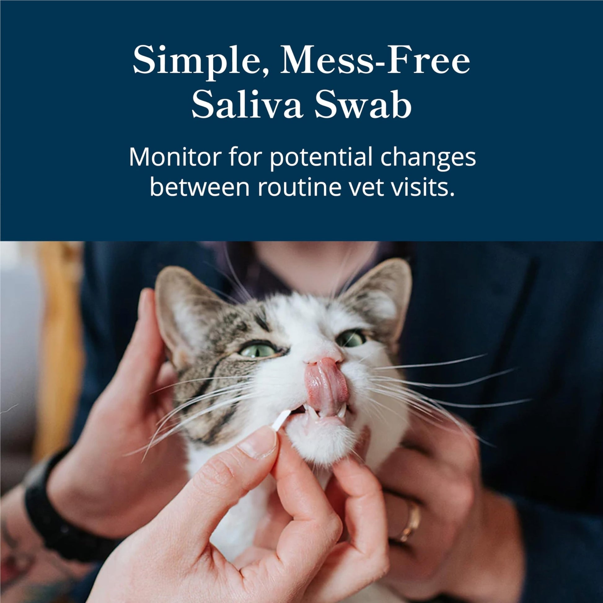 Petivity At-Home Kidney Health Test Kit for Cats — Quick Saliva Urea Test (2-Minute Home Check), Powered by Purina — Help Detect Early Kidney Changes - (Pack of 3) - OzHealthStandard