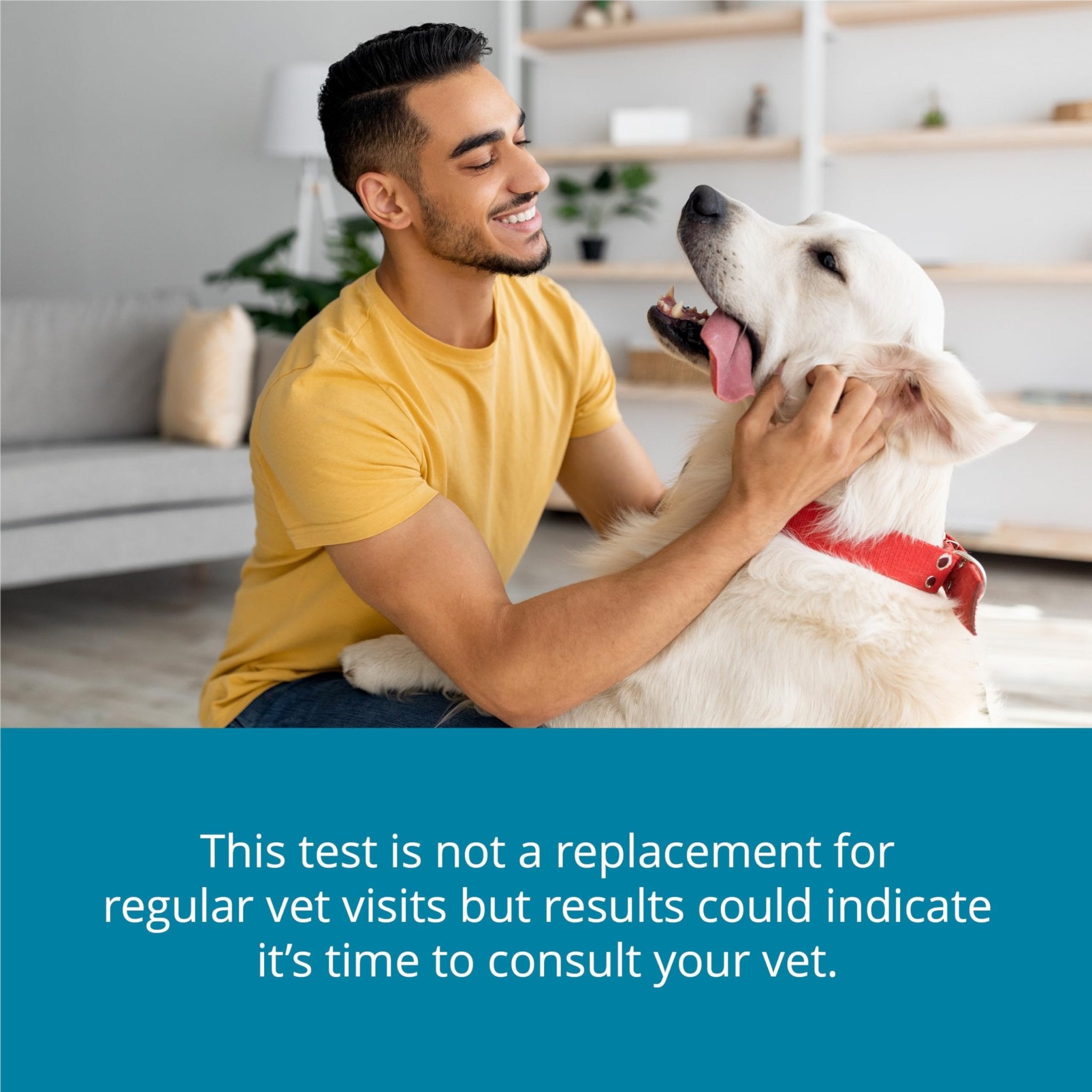 Petivity At-Home Kidney Health Test Kit for Dogs — Quick Saliva Urea Test (2-Minute Home Check), Powered by Purina — Help Detect Early Kidney Changes - (Pack of 3) - OzHealthStandard