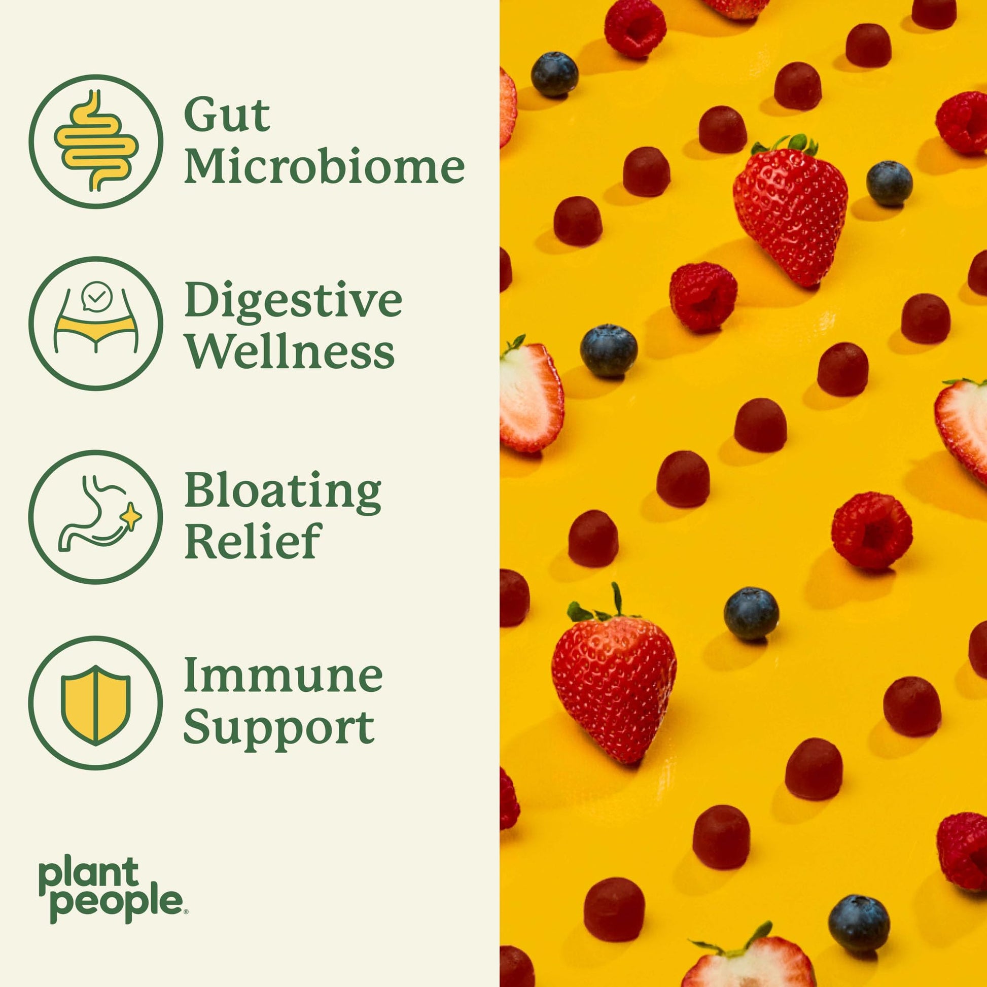 Plant People WonderBiome 2-in-1 Prebiotic + Probiotic Gummies – Zero-Sugar Vegan Digestive Health & Bloating Relief – 5 Billion CFU Bacillus Subtilis DE111 + Artichoke & Chicory – 60 Count - OzHealthStandard