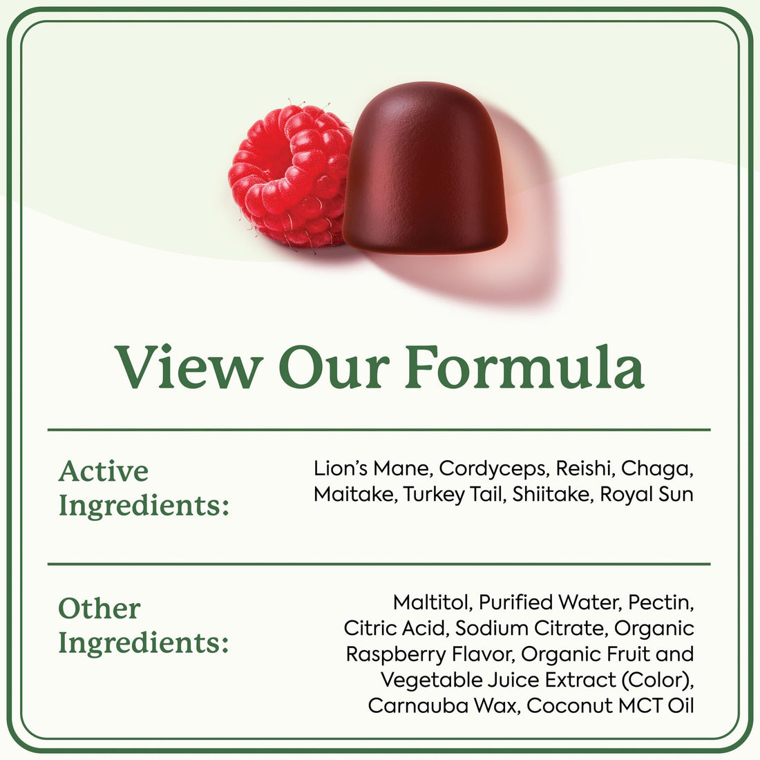 Plant People WonderDay Mushroom Gummies - Lion’s Mane, Cordyceps, Chaga Mushroom Supplement to Support Immune System De-Stress Boost Mood & Energy in Adults Natural - OzHealthStandard